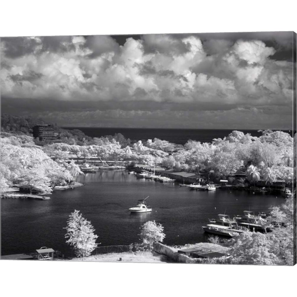 St. Lucia by J.D. McFarlan 20&#x22; x 16&#x22; Canvas Wall Art