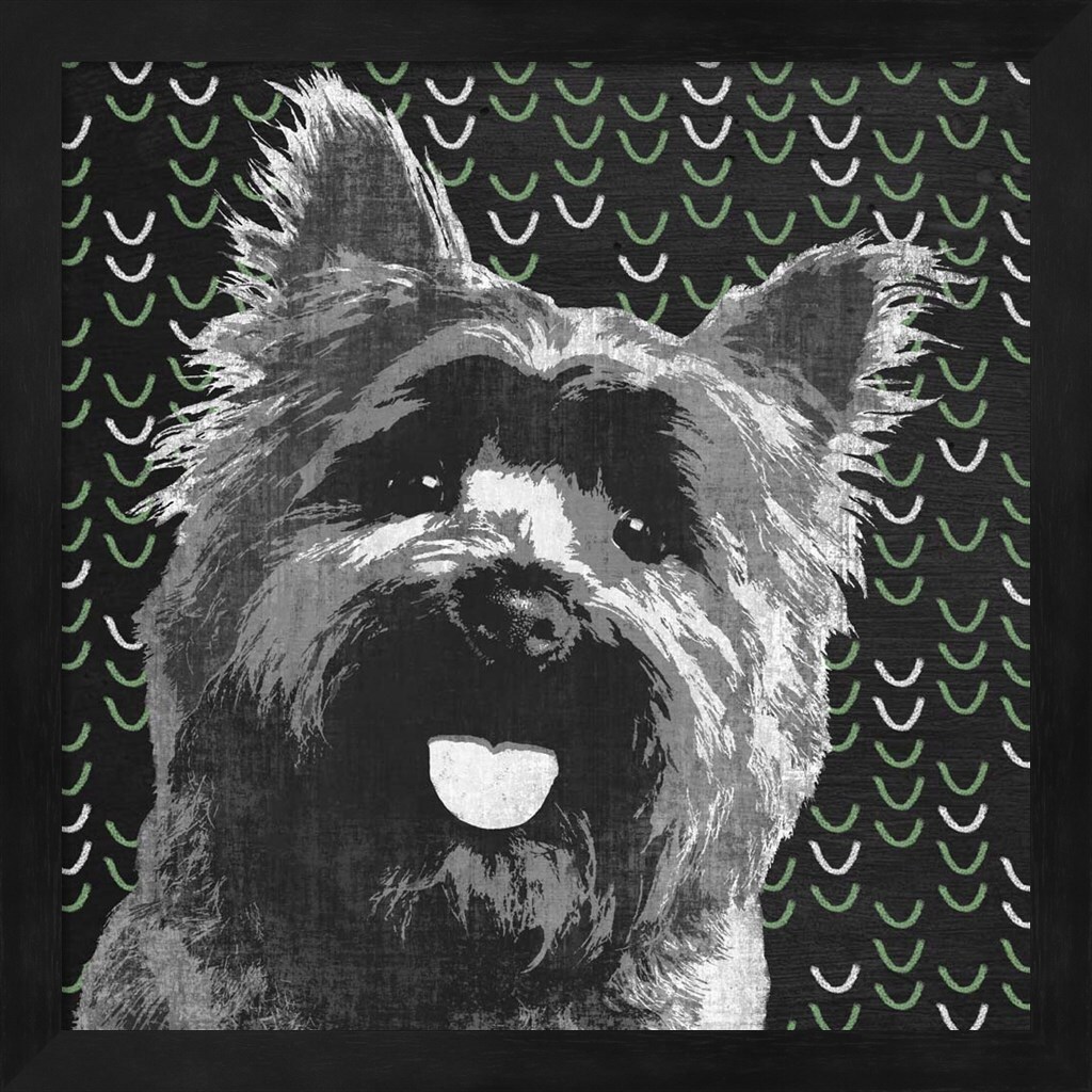 Yorkie by Posters International Studio 13&#x22; x 13&#x22; Framed Wall Art