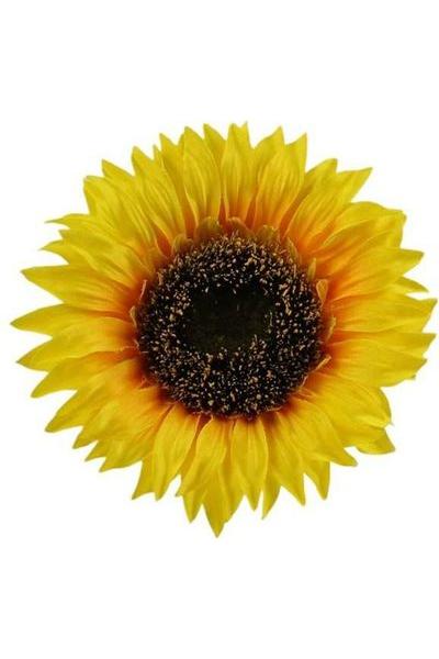 5&#x22; Sunflower Head