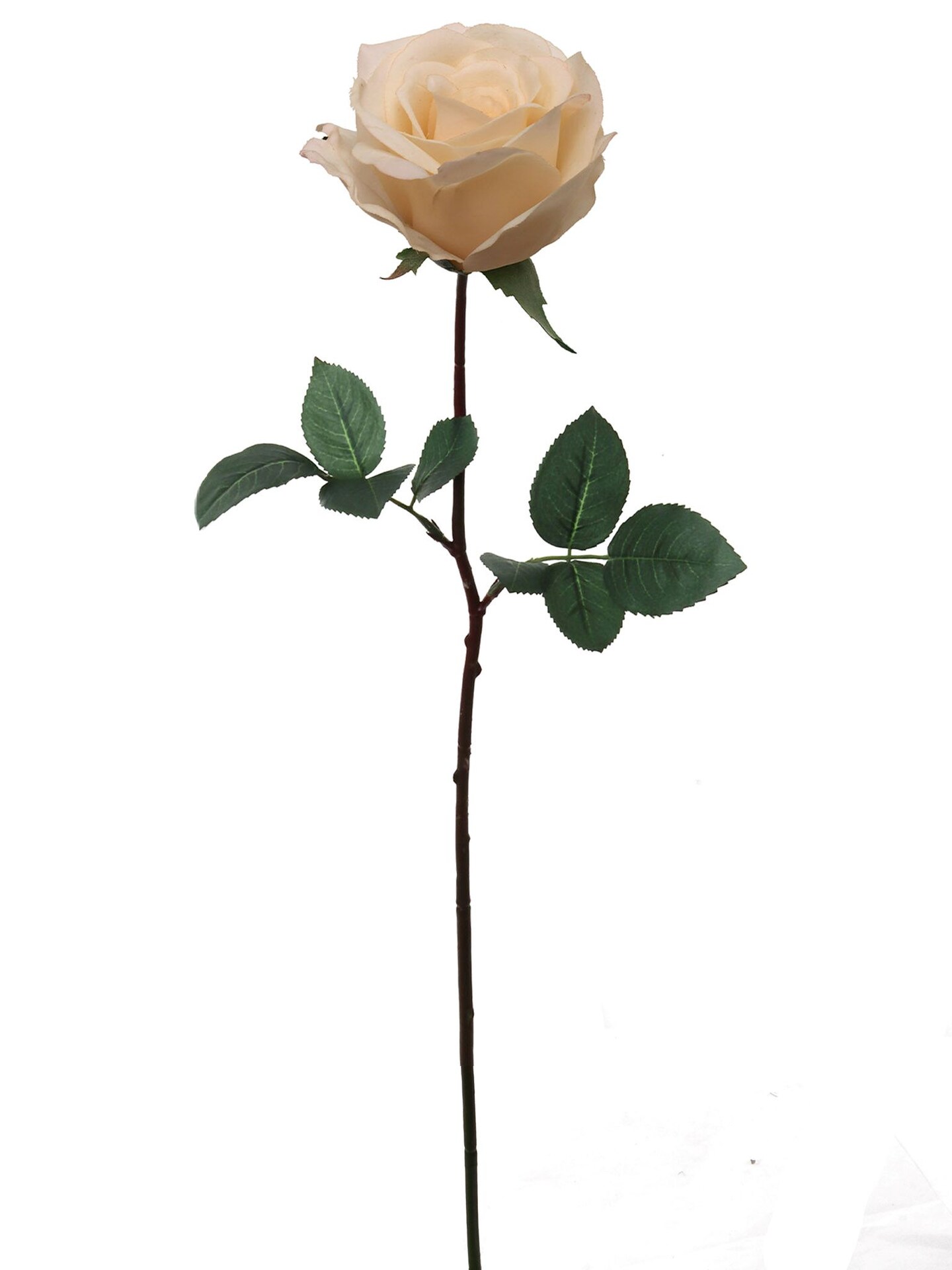 12PCS 27” Real Touch Peach Rose – 4” Diameter Artificial Flower