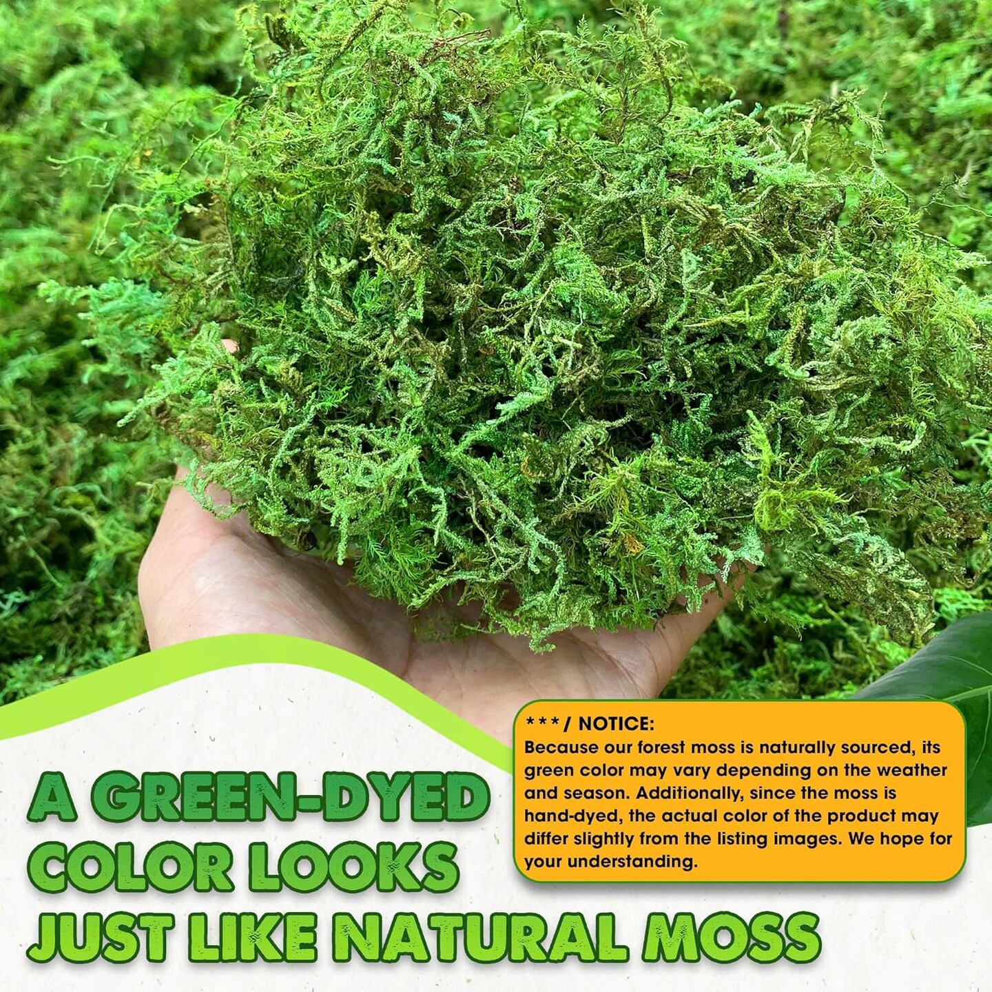 Green Moss for Crafts Decorative Moss Filler for Planters Moss Decor for Table Centerpieces Wedding Christmas Fairy Party Decor, Green Moss for Indoor Planters, DIY Project