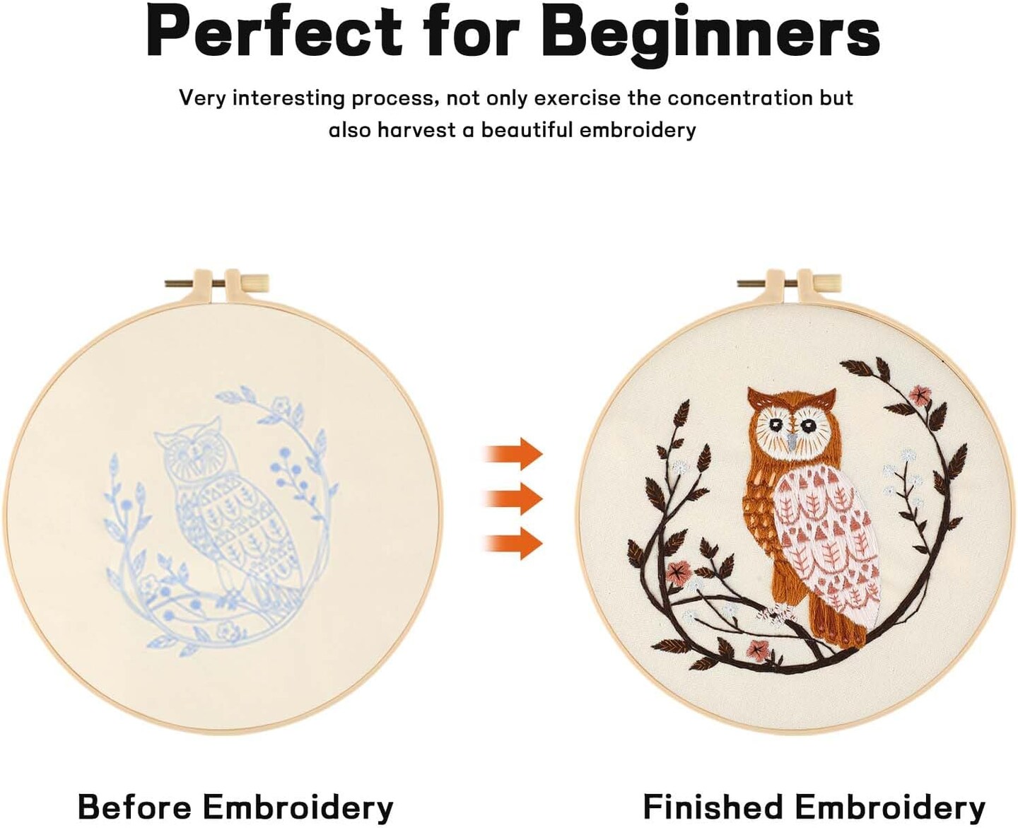 Owl Embroidery Kit for Adults – Beginner Cross Stitch with Hoop, Threads & Video Tutorial