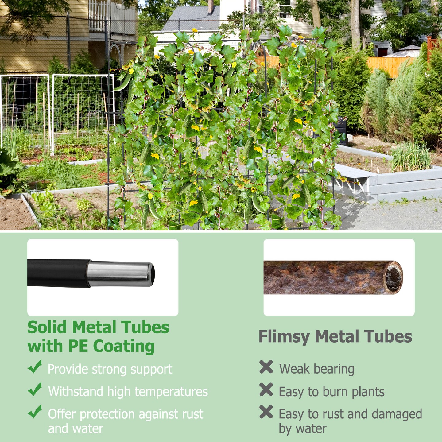 Garden Cucumber Trellis with Adjustable U-Shaped Frame and PE-Coated Metal