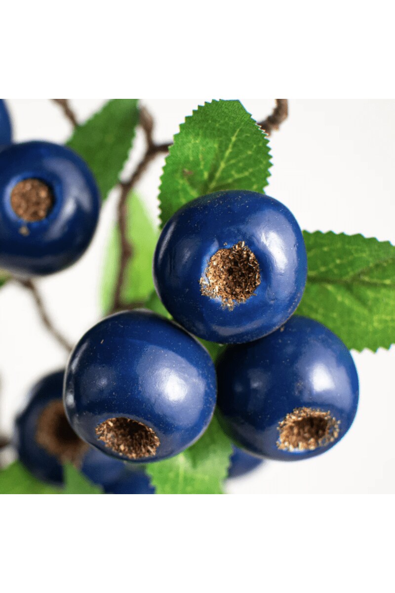 23&#x22; Blueberry Spray