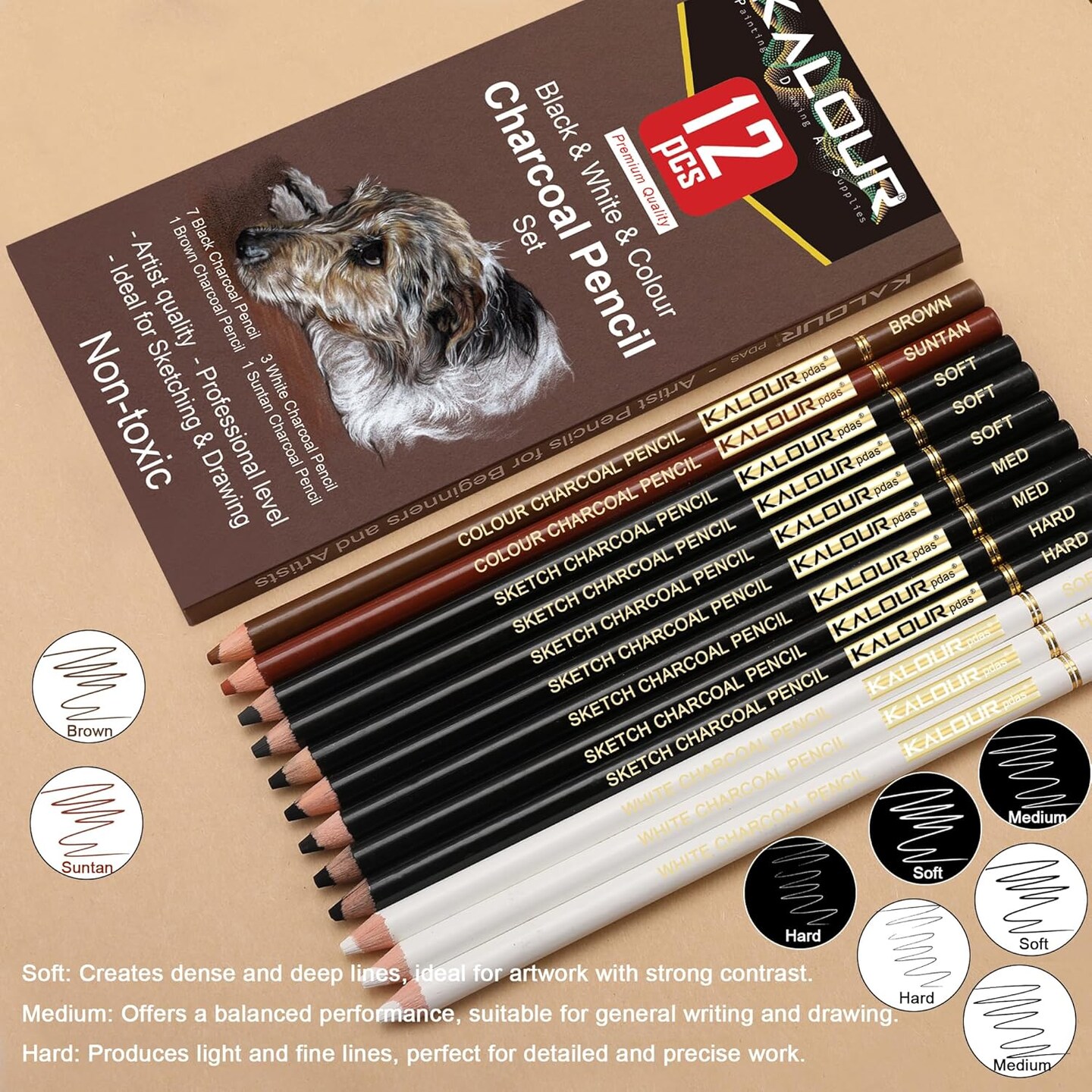 12-Piece Pro Colored Charcoal Set – Pastel Chalk Pencils for Sketching & Shading