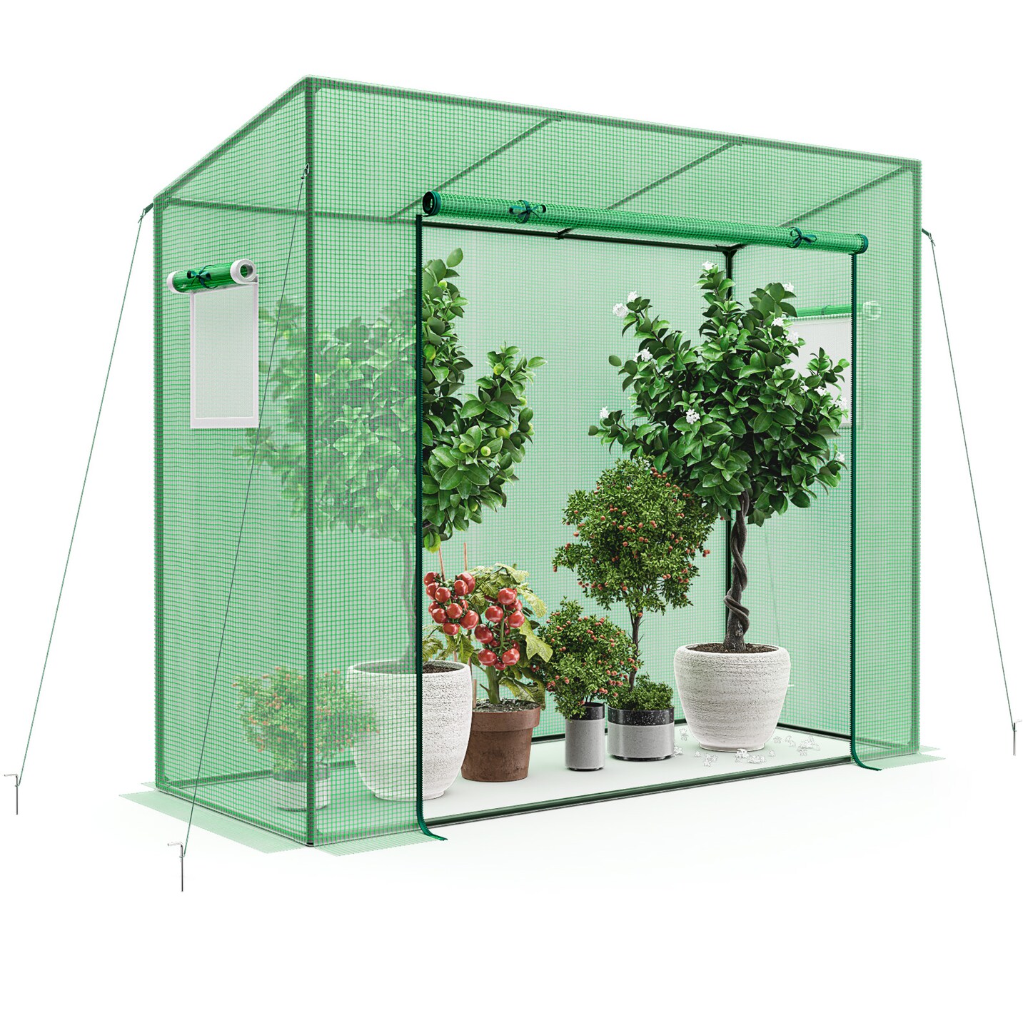 Green PE Walk-In Greenhouse with Weather-Resistant Cover and Ventilation