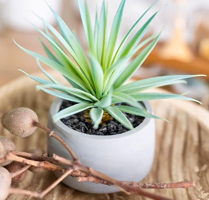 Farmhouse Artificial Plant | Fake Plant | Artificial Succulent in Pot | Fake Succulent | Faux Plant Indoor | Faux Succulent in Pot for Desk Decor