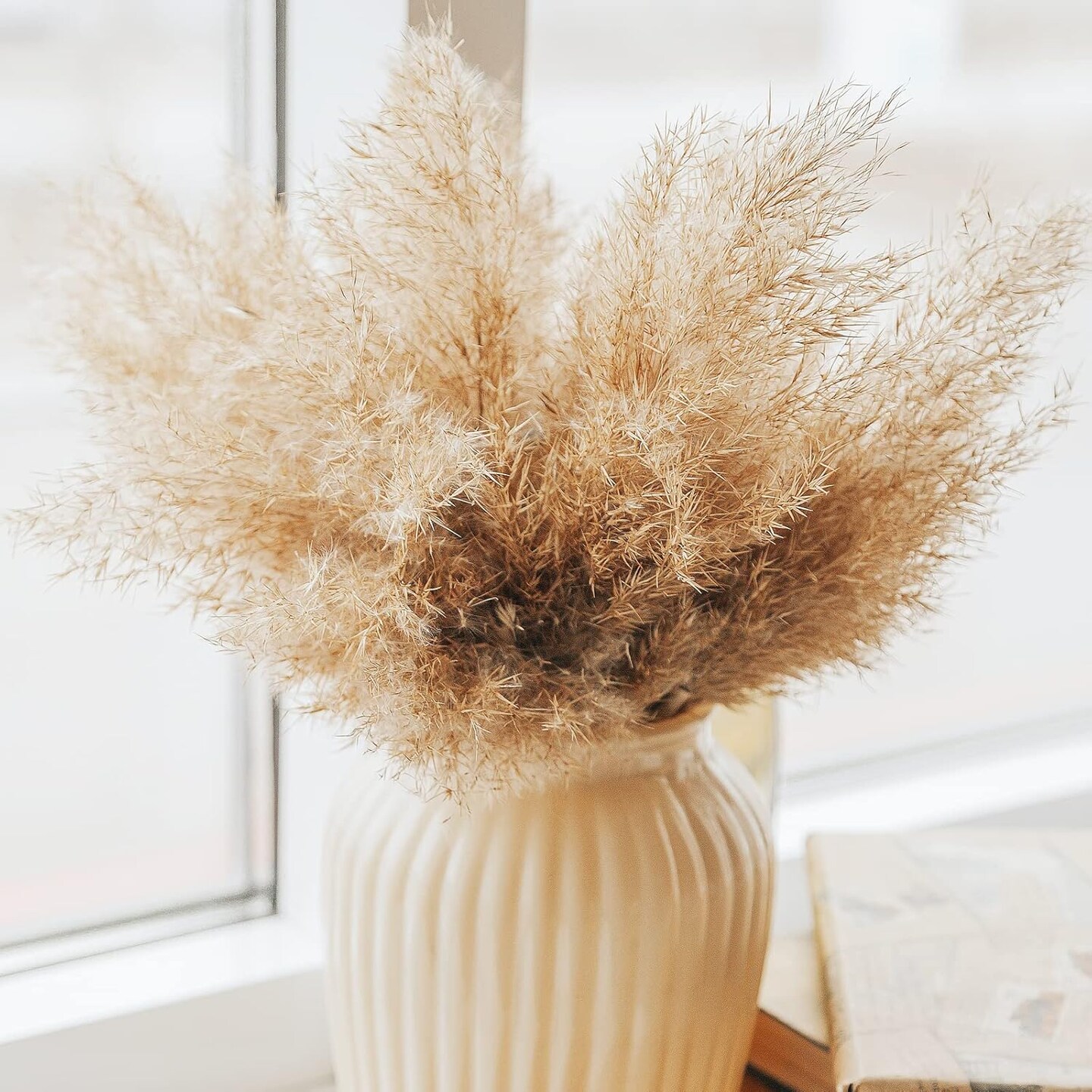 30 PCS Boho Decor, Fluffy Pompas Grass, Natural Dry Pampas Grass Small, Short Pampass Bulk for Boho Room Decor