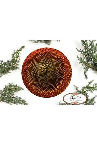 Sunflower Wreath Center