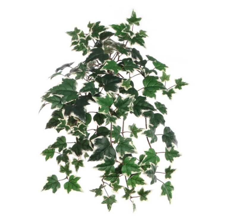 Variegated English Ivy Bush W/ 117 Silk Leaves - 2 PACK