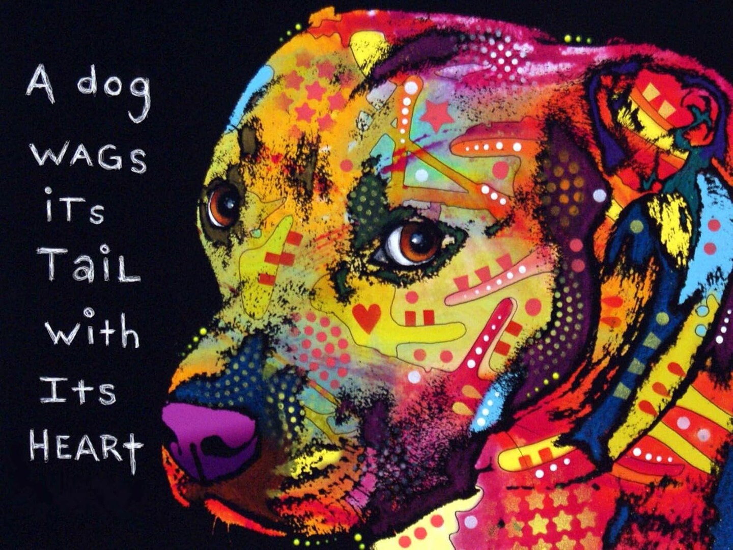 Diamond Painting by Number Kits&#xFF0C;Crystal Rhinestone Diamond Embroidery Paintings for Adults and Beginner