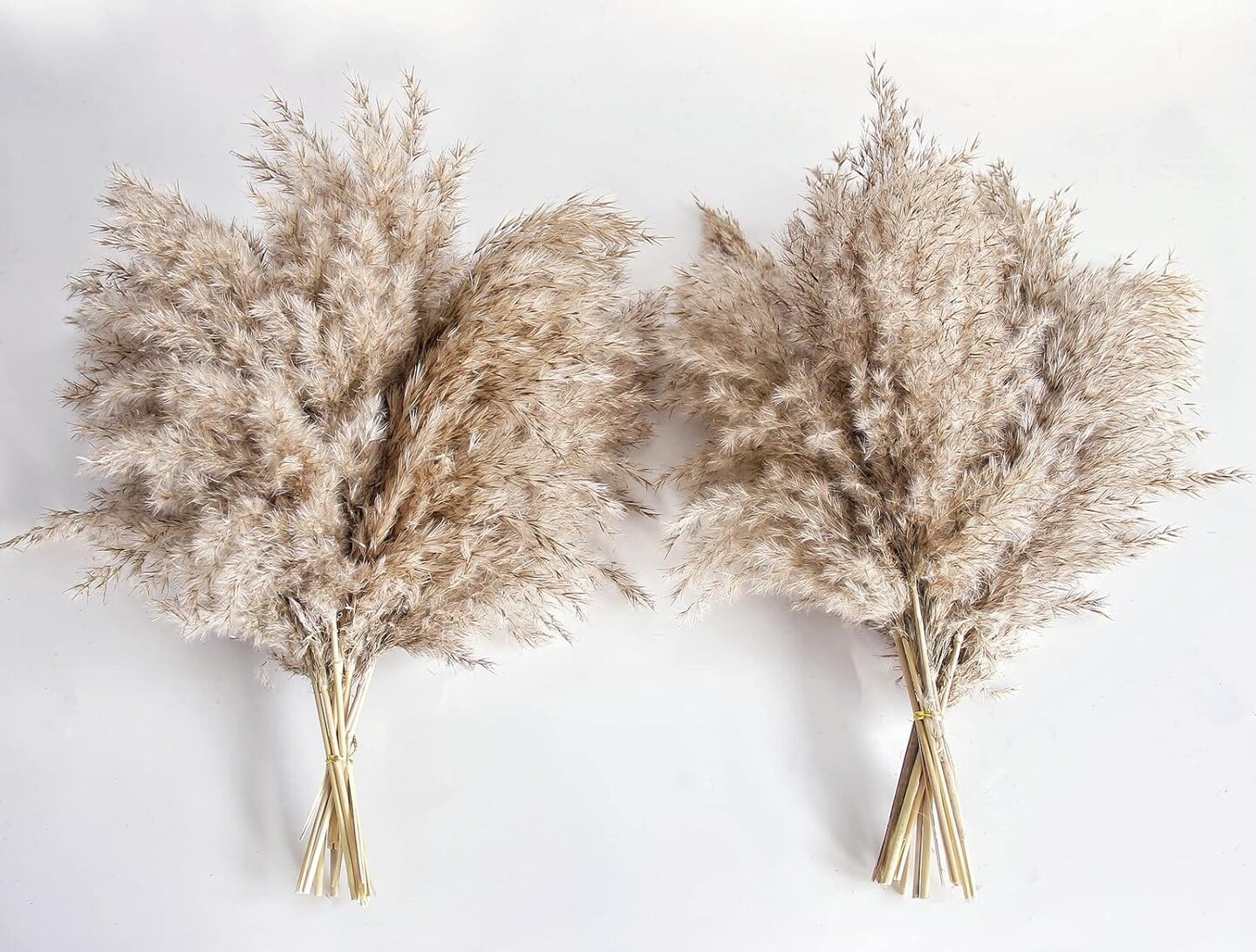 Pampas Grass Decor, Natural Dry Pampas Grass Small, Short Pampass Bulk for Farmhouse, Wall, Kitchen, Bedroom Decor, Office Decor
