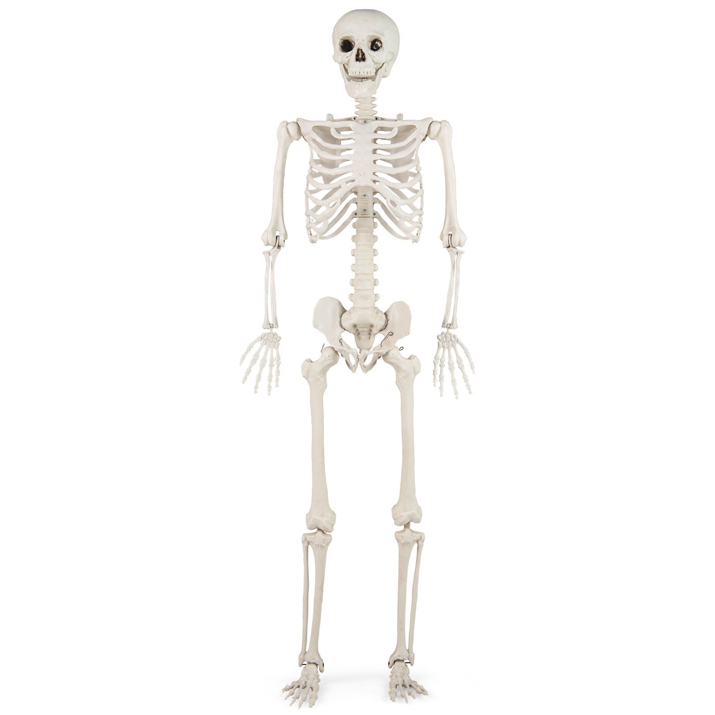 Life-Size Posable Skeleton Decoration 5.4ft Halloween Prop Indoor Outdoor Yard Display