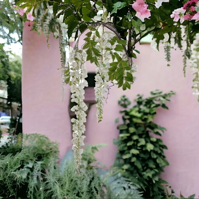 Hanging Wisteria Branch Spray - 70&#x22;-12 PACK