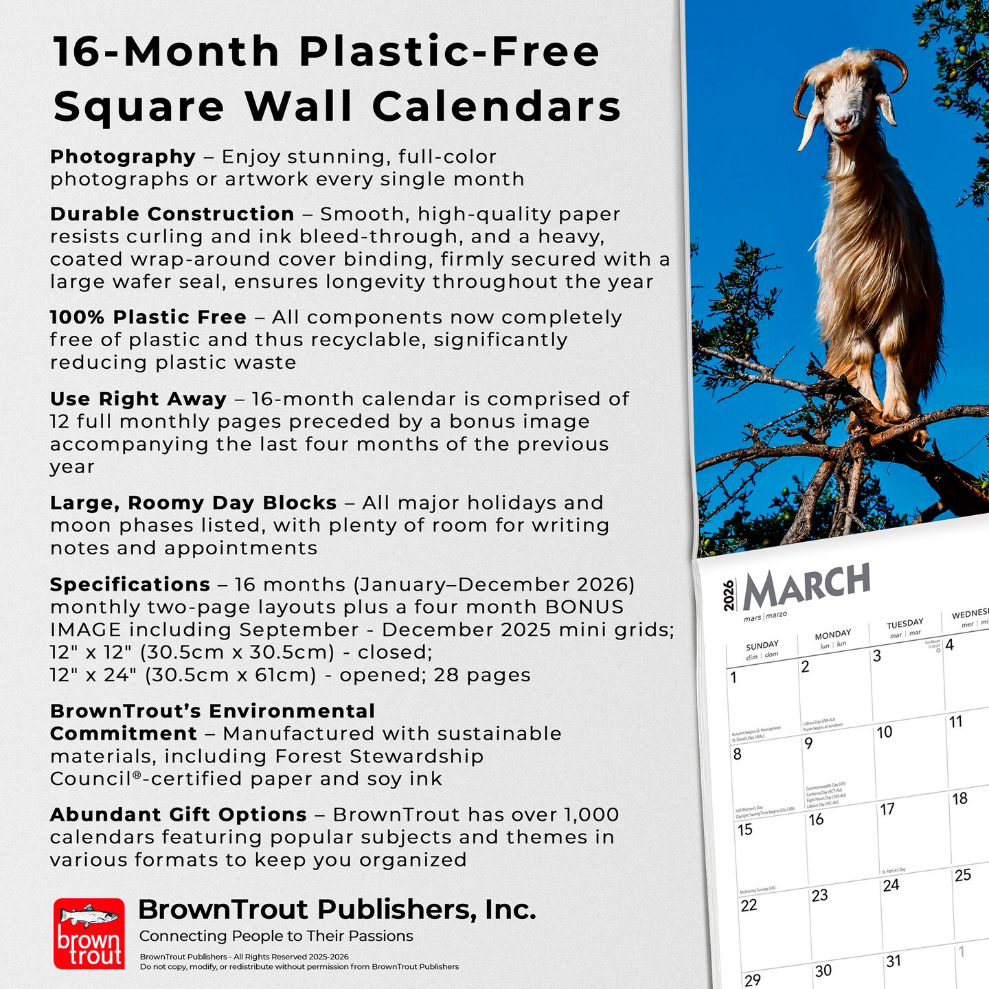 Goats in Trees | 2026 12 x 24 Inch (Hanging) Monthly Square Wall Calendar | Plastic-Free | BrownTrout | Domestic Funny Farm Animals