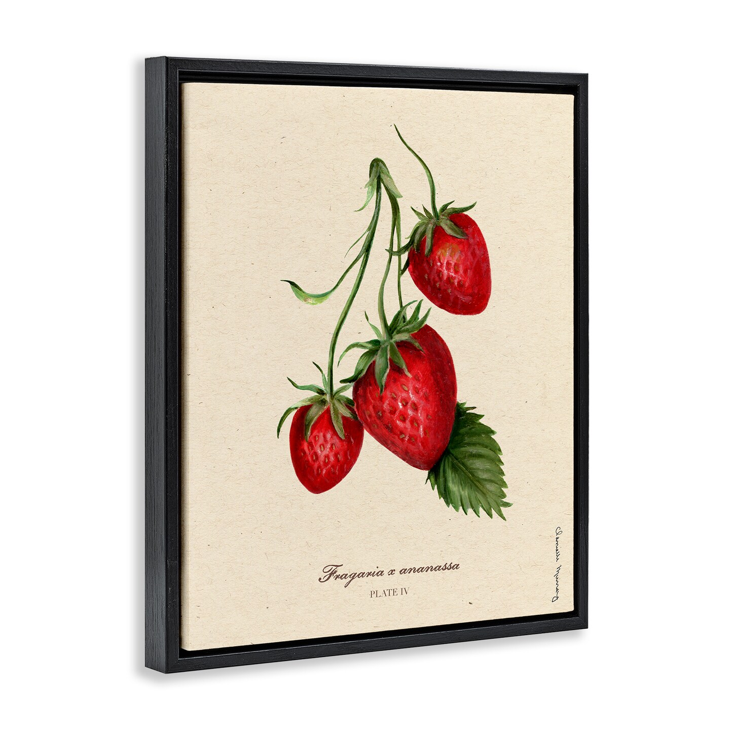 Stupell Industries Strawberry Fruit Portrait Floating Frame