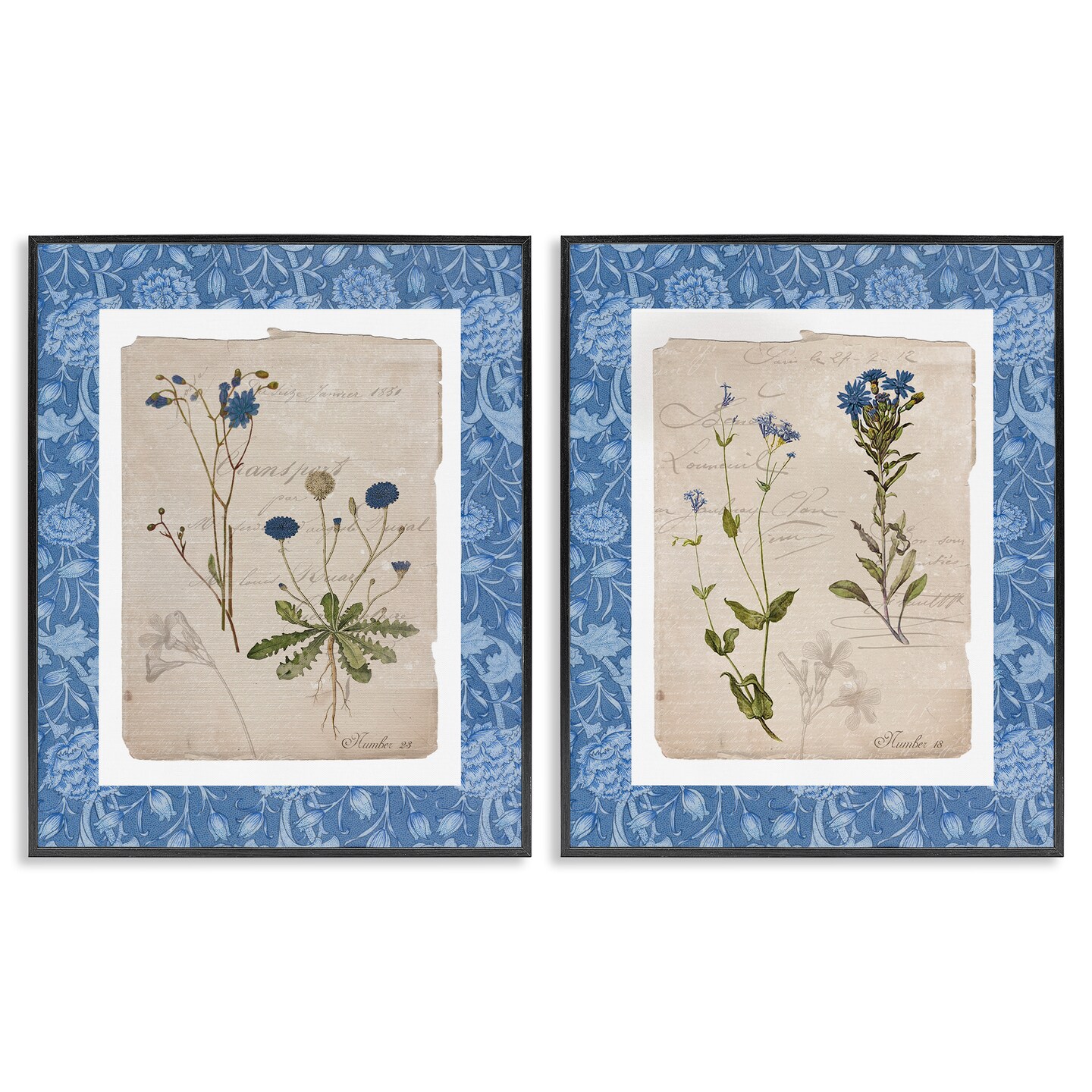 Stupell Industries Blue Botanical Herbs 2pc Framed Giclee Set, design by Livi Finn