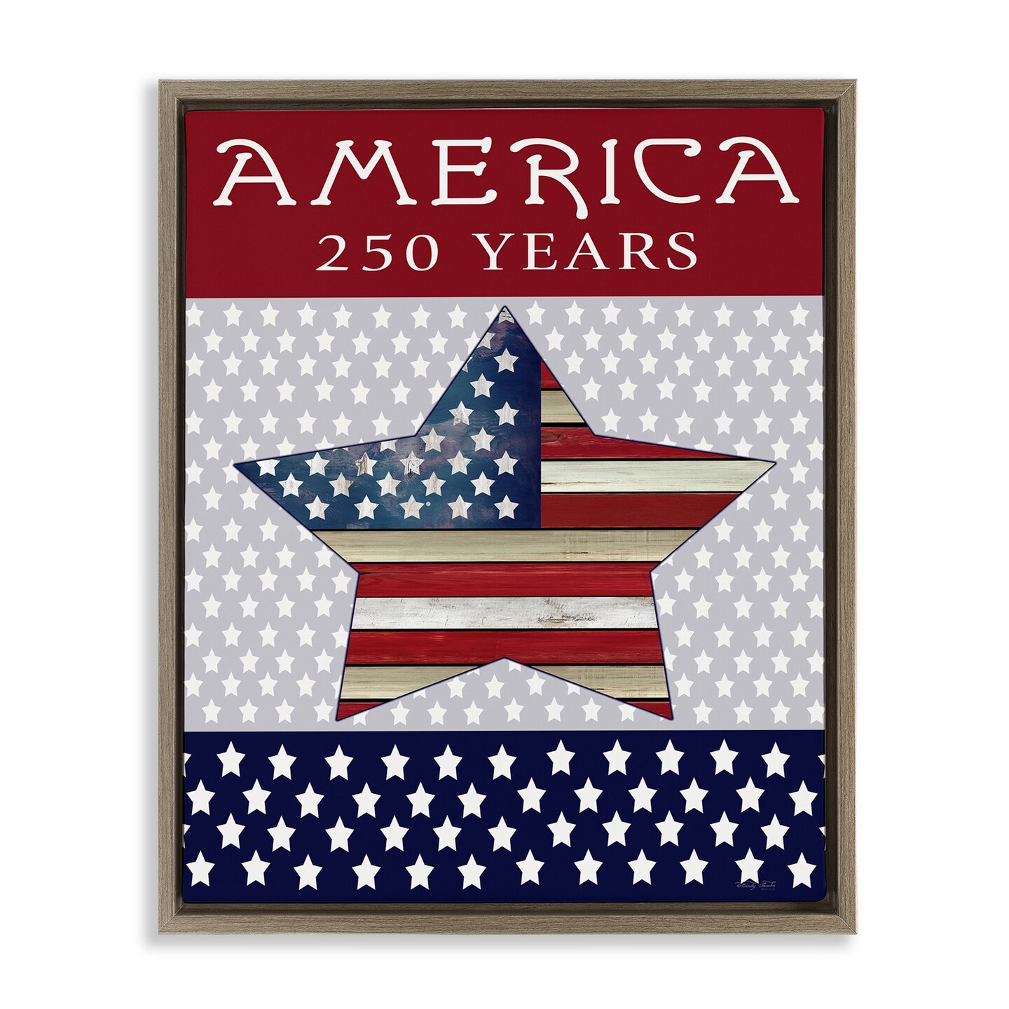 Stupell Industries Historic America 250 Years Floating Frame, design by Cindy Jacobs