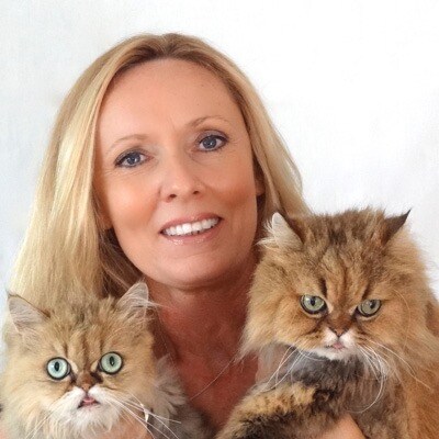 storefront avatar
