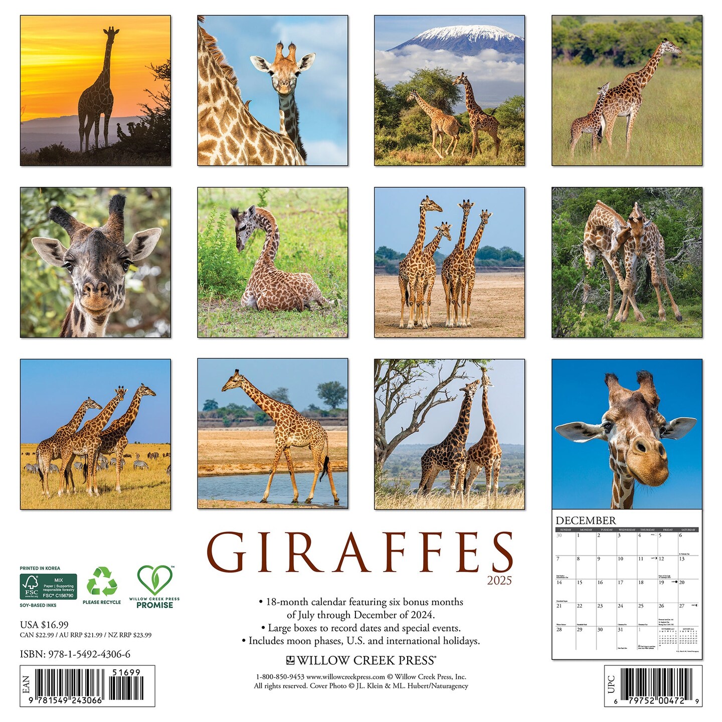 Giraffes 2025 Wall Calendar