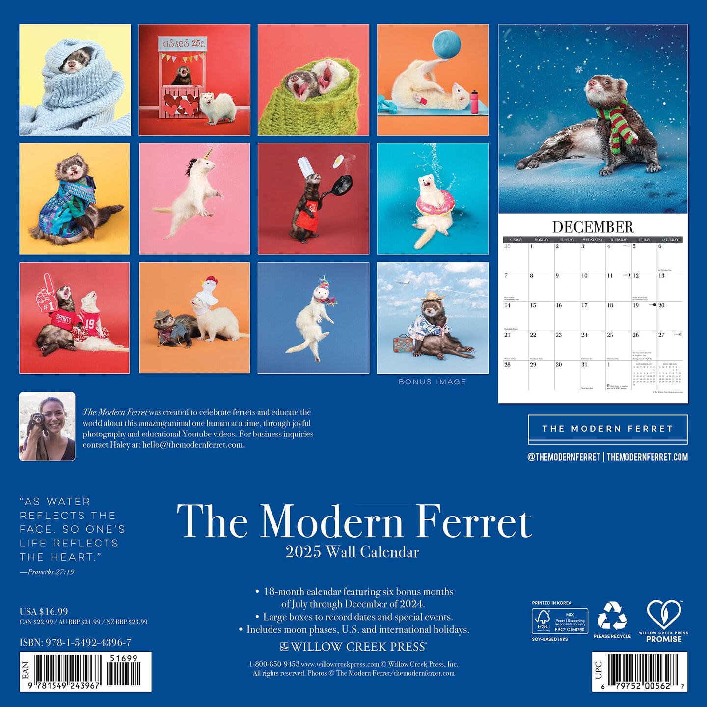 Modern Ferret (The) 2025 Wall Calendar