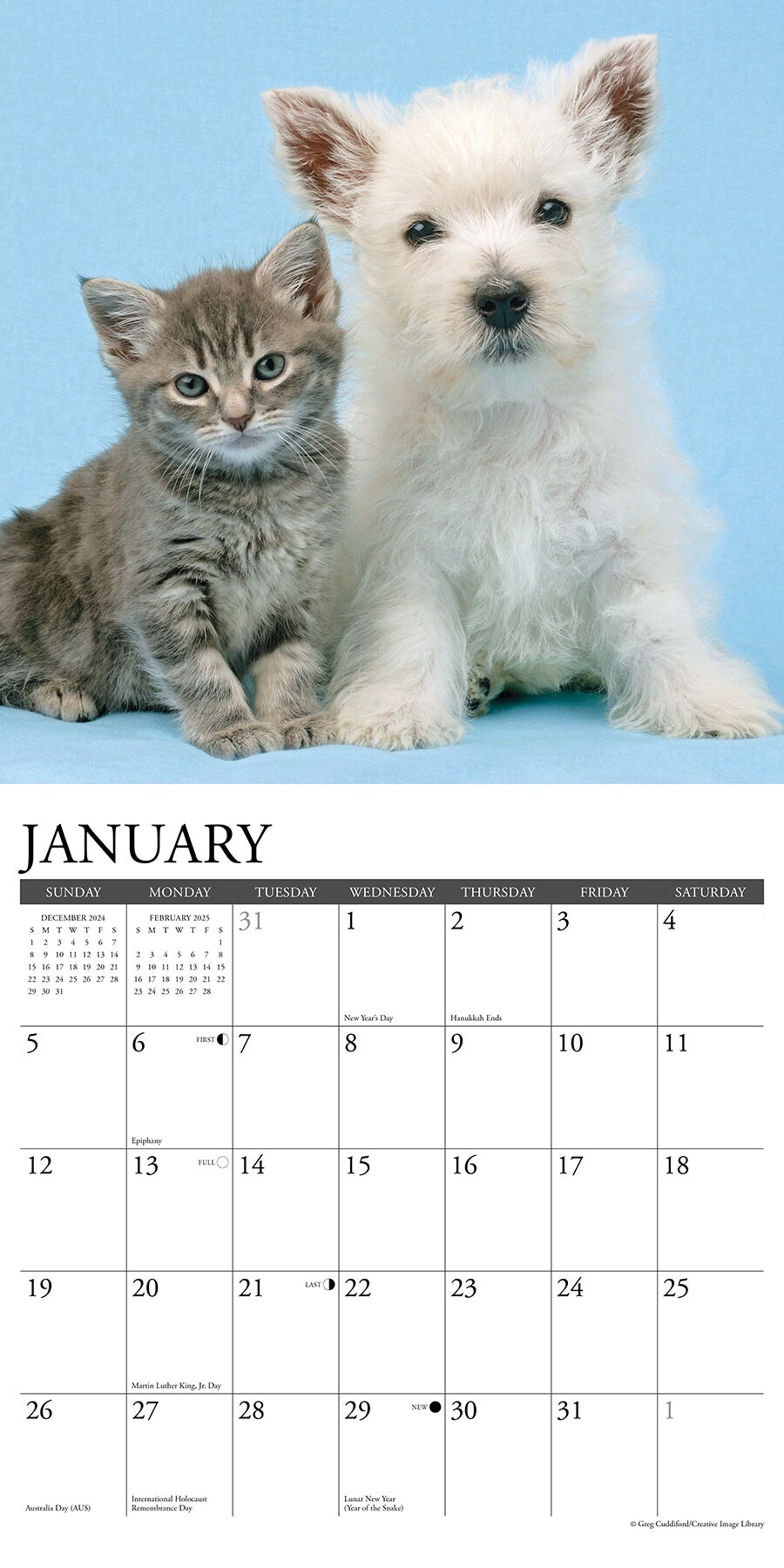 Kittens &#x26; Puppies 2025 Wall Calendar