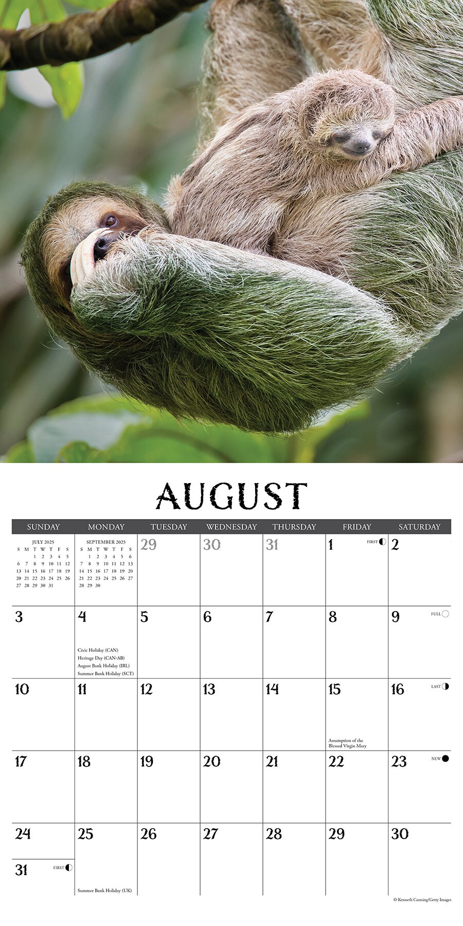 Sloths 2025 Wall Calendar