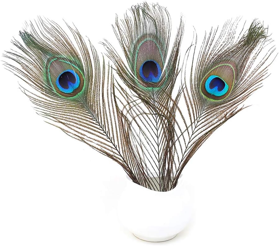 120 PCS Real Natural Peacock Eye Feathers