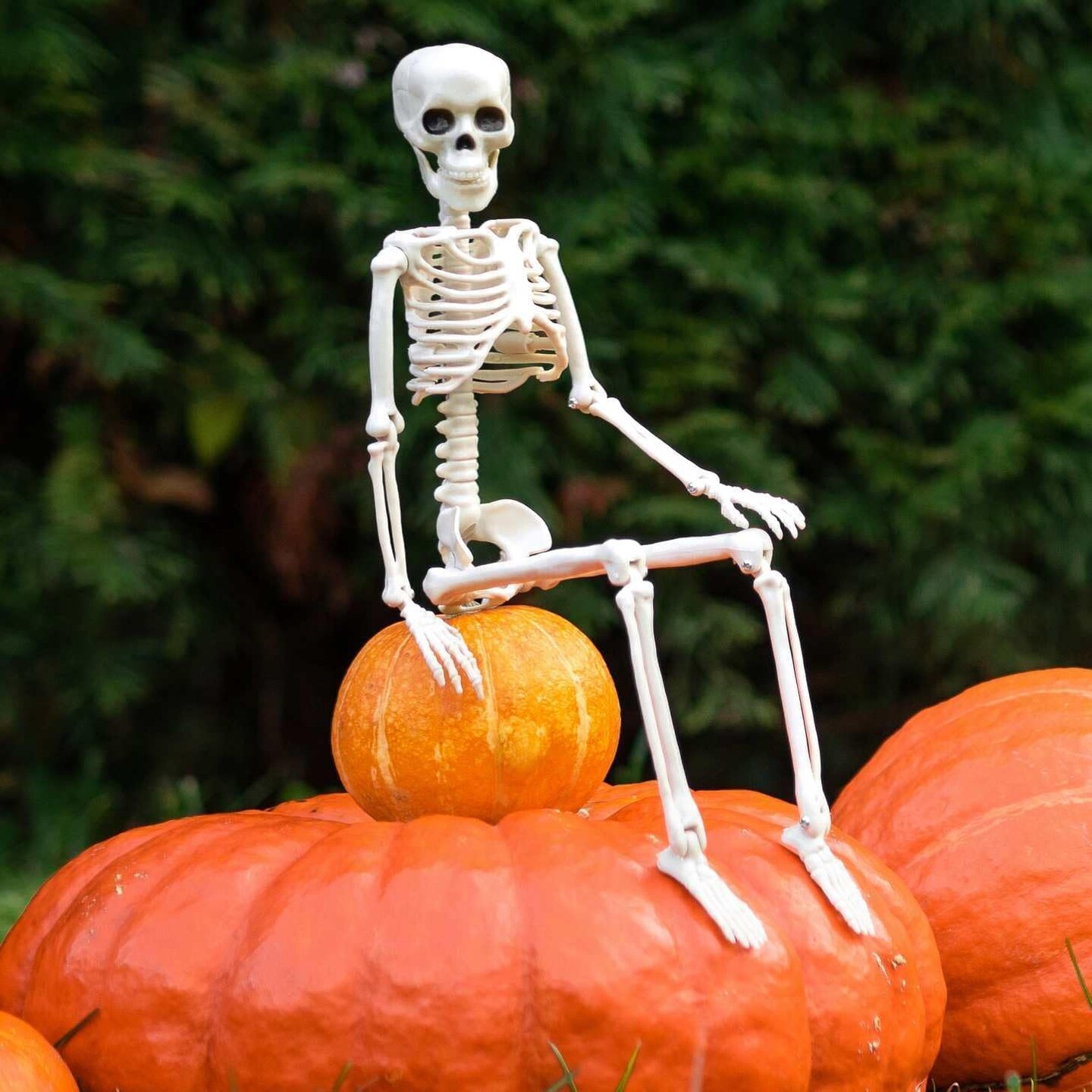 Halloween Decoration Outdoor 2 Pack Skeleton, 16&#x22; Plastic Posable Skeleton