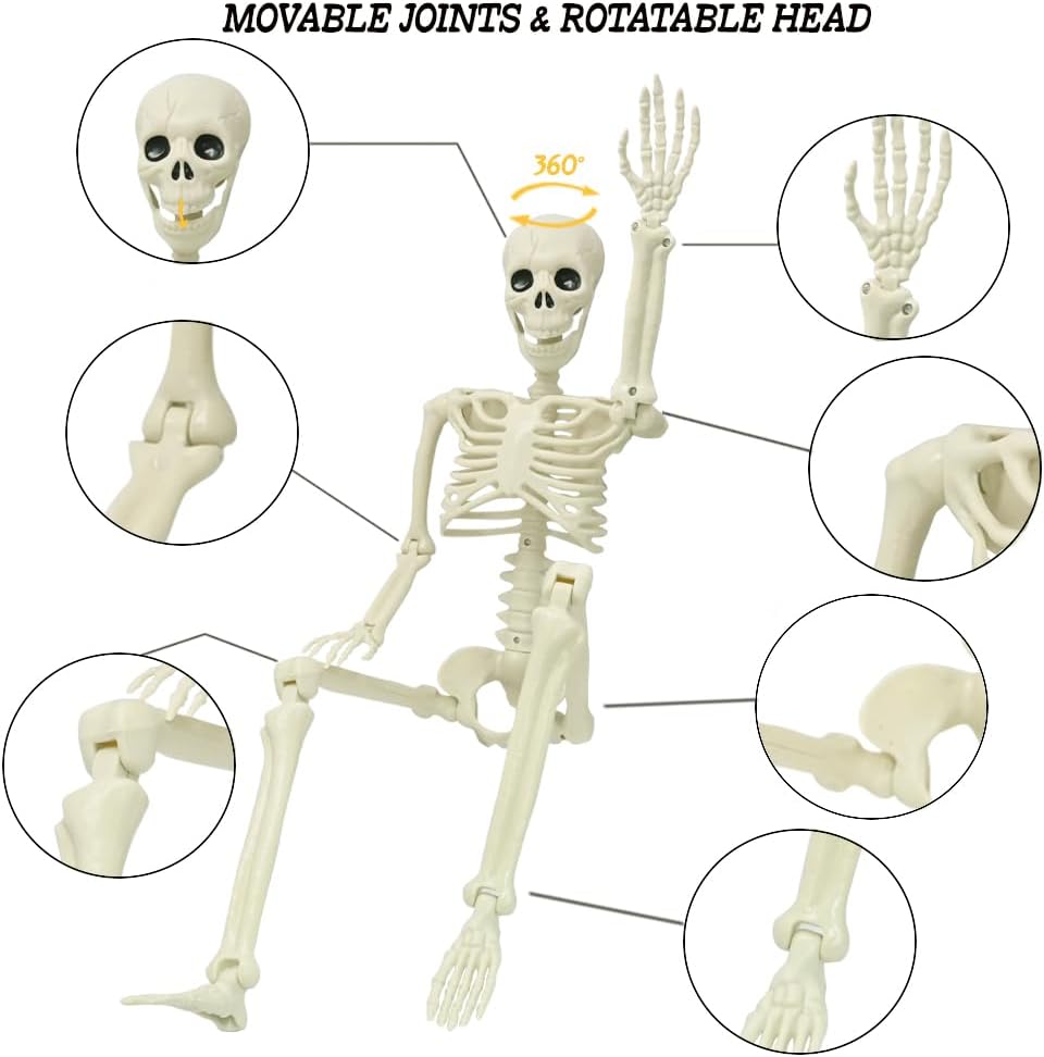 2PCS Halloween Posable Skeletons