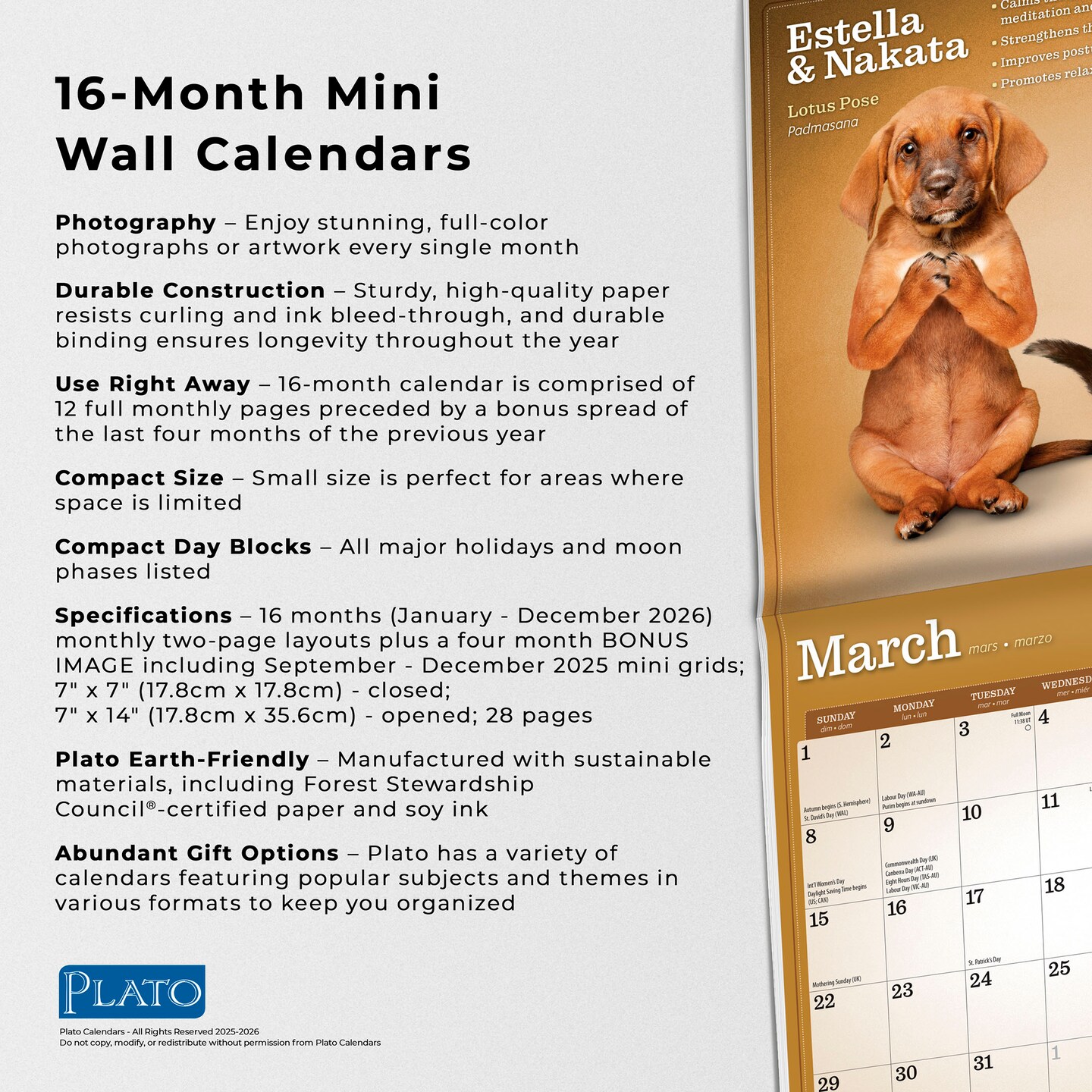 Yoga Puppies &#x26; Kittens Together OFFICIAL | 2026 7 x 14 Inch (Hanging) Monthly Mini Wall Calendar
