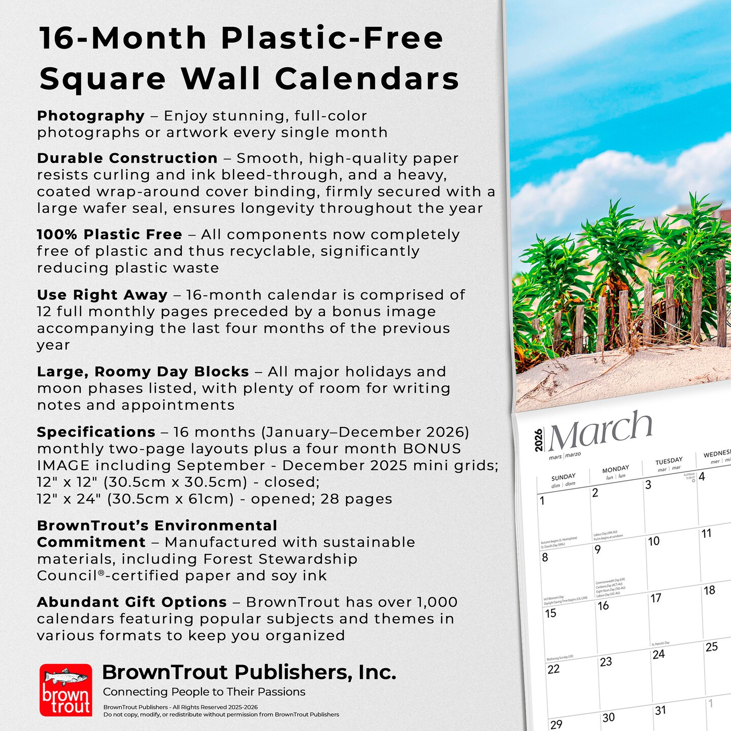 Jersey Shore | 2026 12 x 24 Inch (Hanging) Monthly Square Wall Calendar | Plastic-Free