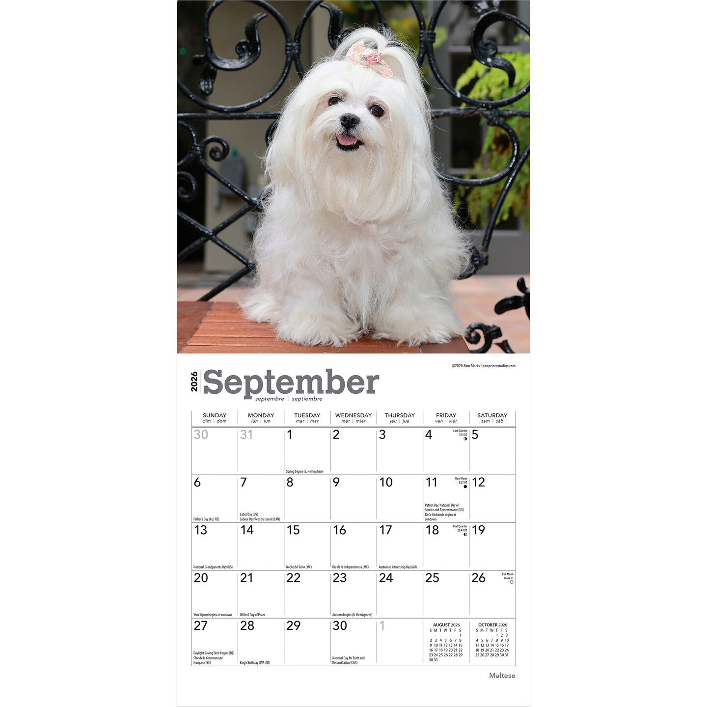 Maltese | 2026 7 x 14 Inch (Hanging) Monthly Mini Wall Calendar
