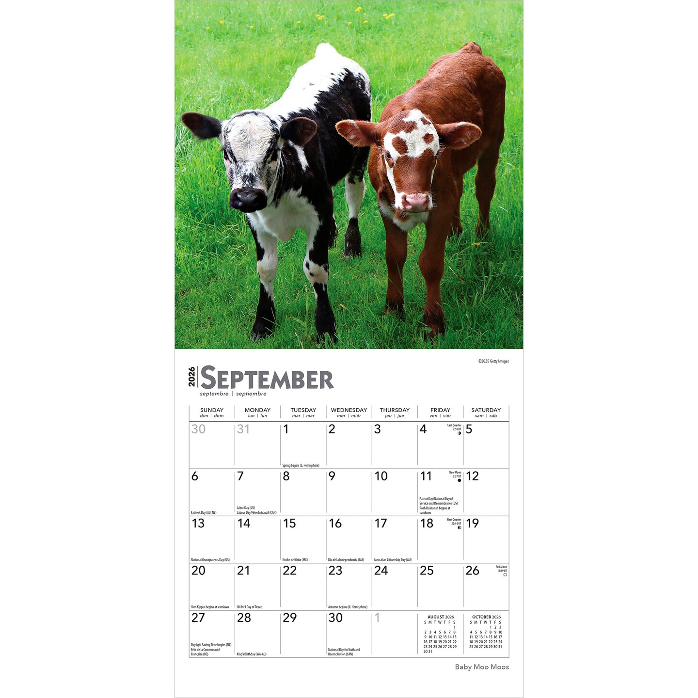 Baby Moo Moos | 2026 7 x 14 Inch (Hanging) Monthly Mini Wall Calendar