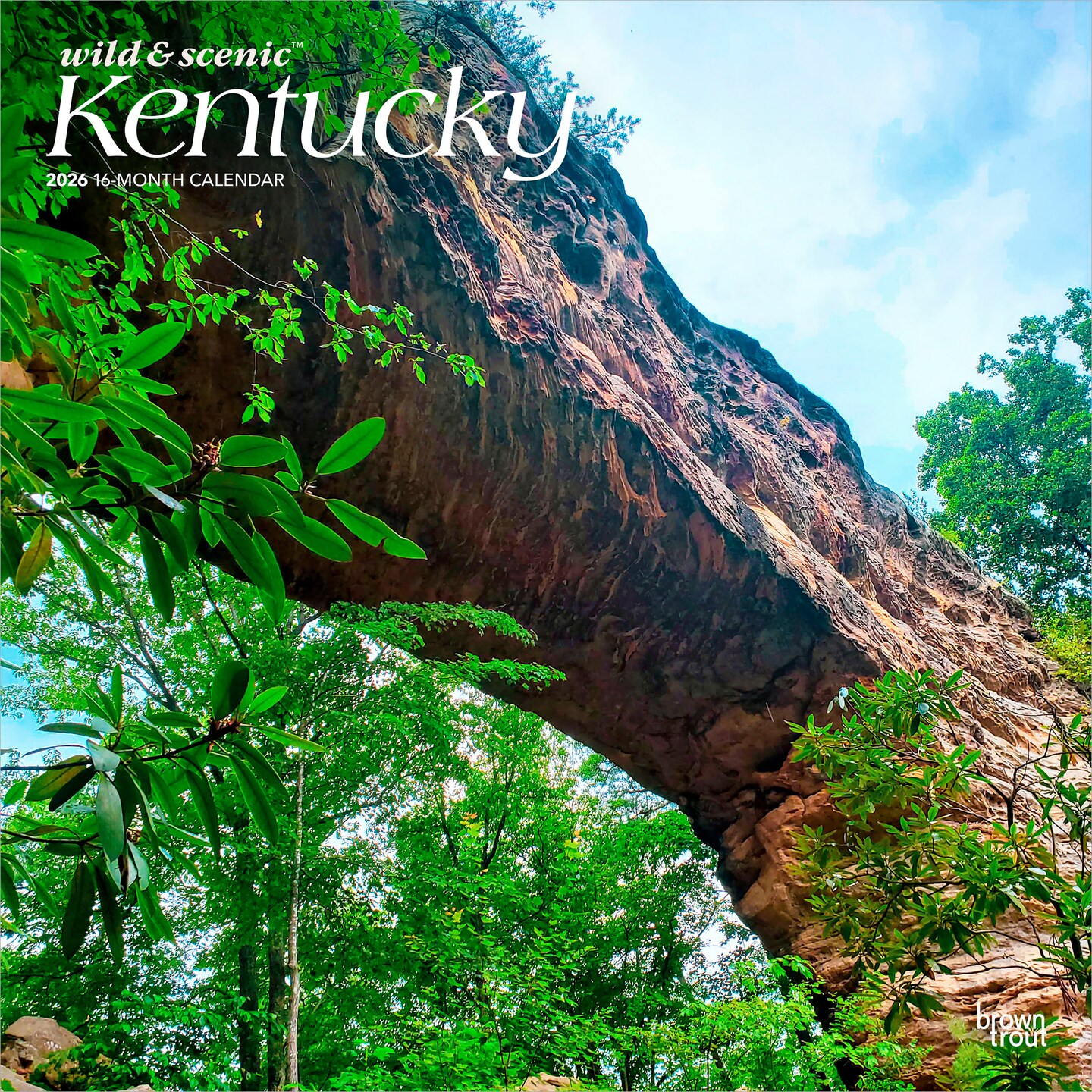 Kentucky Wild &#x26; Scenic | 2026 12 x 24 Inch (Hanging) Monthly Square Wall Calendar | Plastic-Free