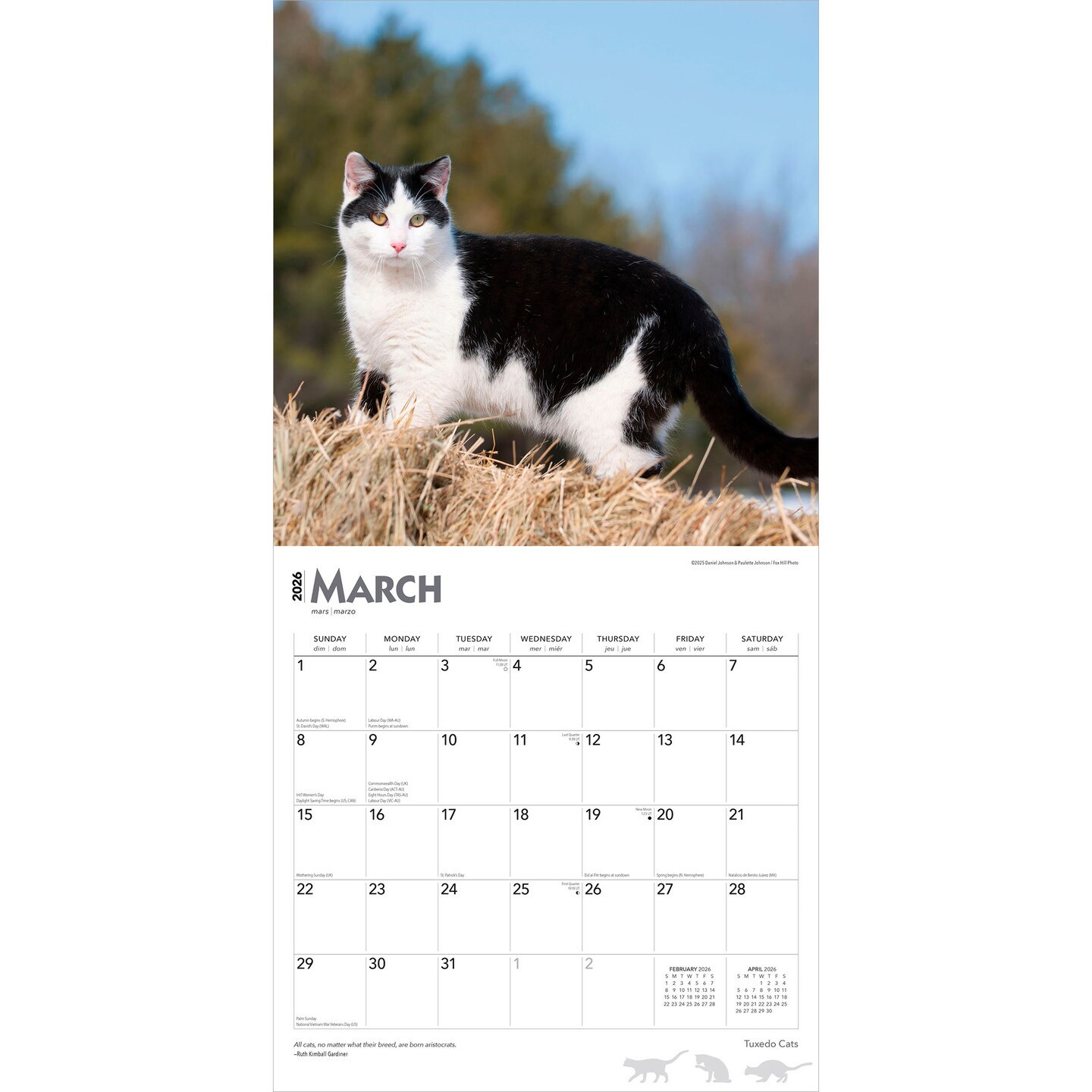 Tuxedo Cats | 2026 12 x 24 Inch (Hanging) Monthly Square Wall Calendar | Plastic-Free