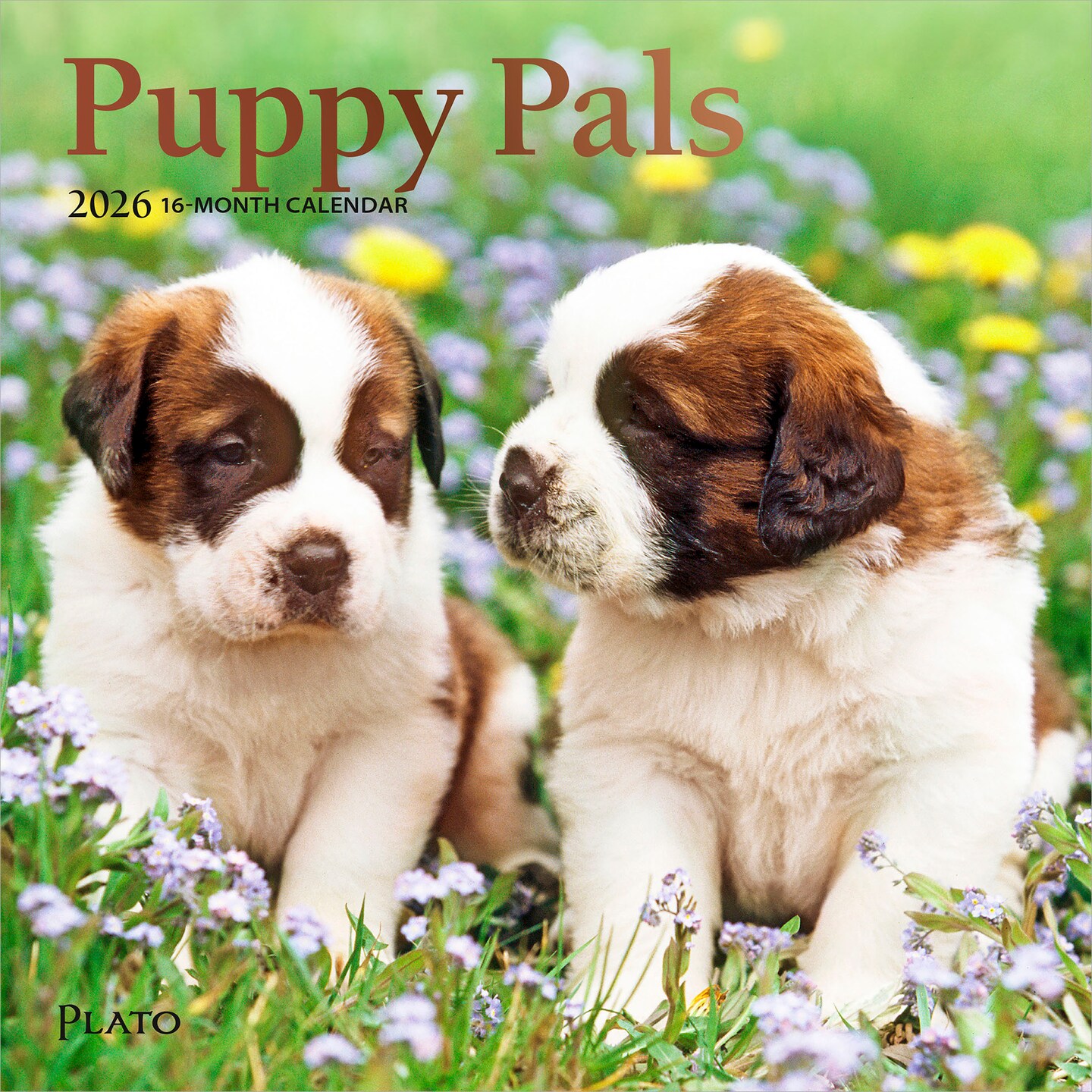 Puppy Pals | 2026 7 x 14 Inch (Hanging) Monthly Mini Wall Calendar | Foil Stamped Cover