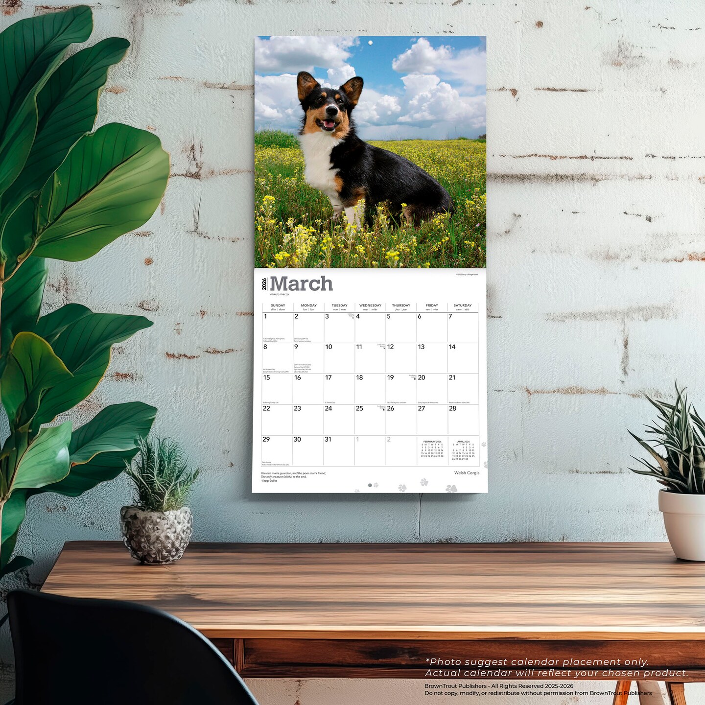 Welsh Corgis | 2026 12 x 24 Inch (Hanging) Monthly Square Wall Calendar | Plastic-Free