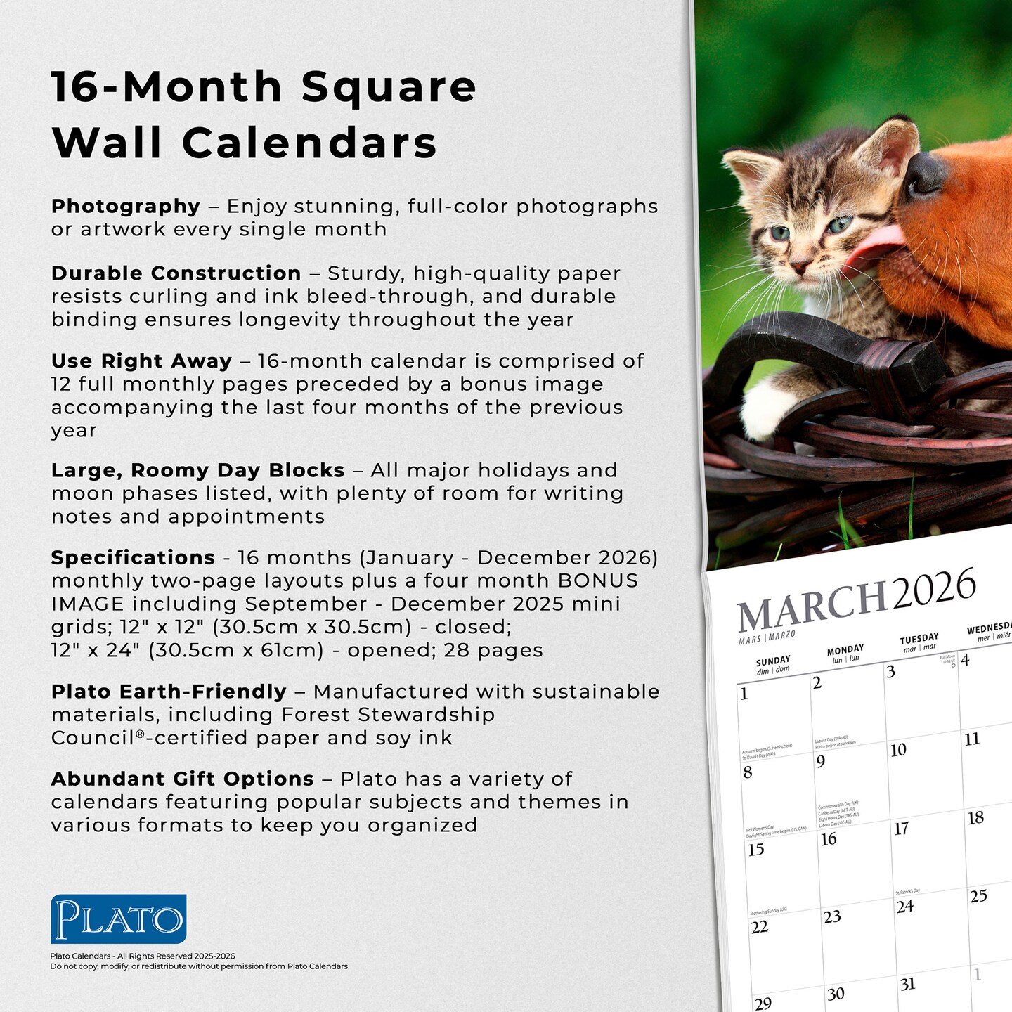 Kittens &#x26; Puppies | 2026 12 x 24 Inch (Hanging) Monthly Square Wall Calendar | Foil Stamped Cover