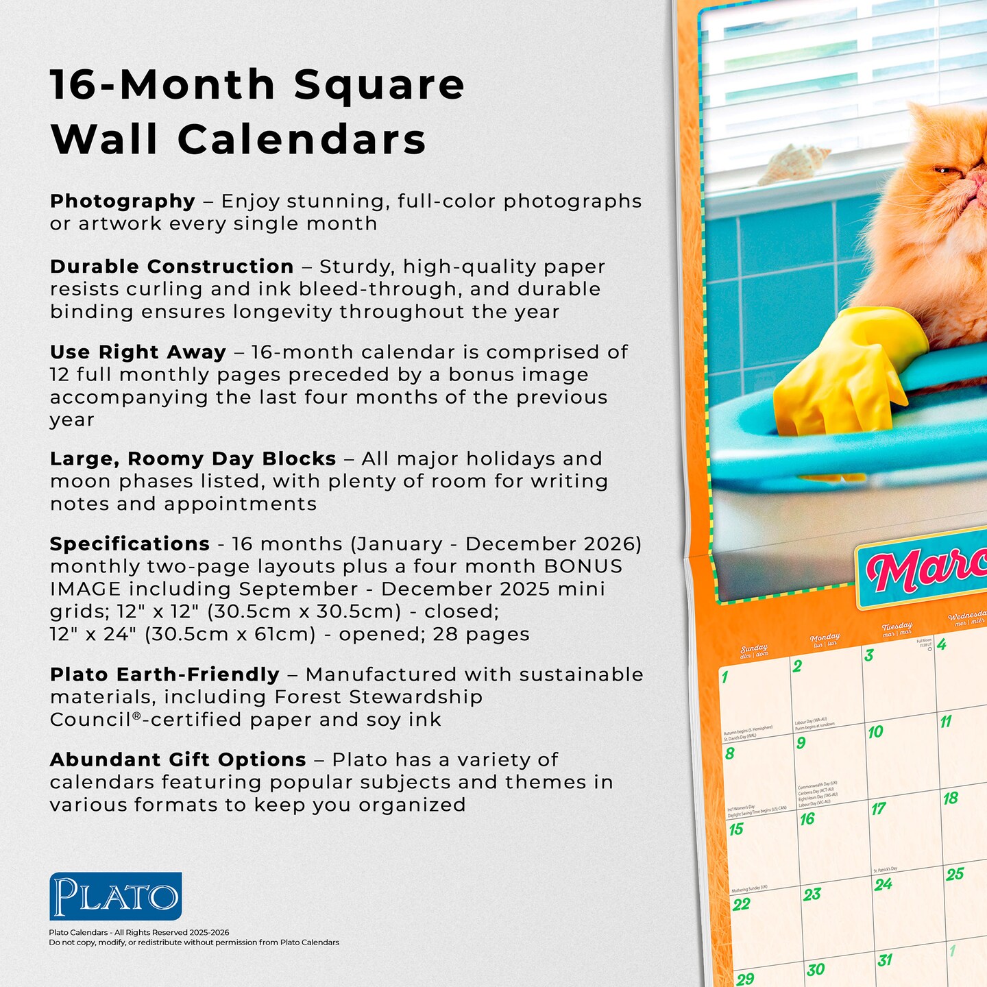 Avanti Cranky Kitties OFFICIAL | 2026 12 x 24 Inch (Hanging) Monthly Square Wall Calendar