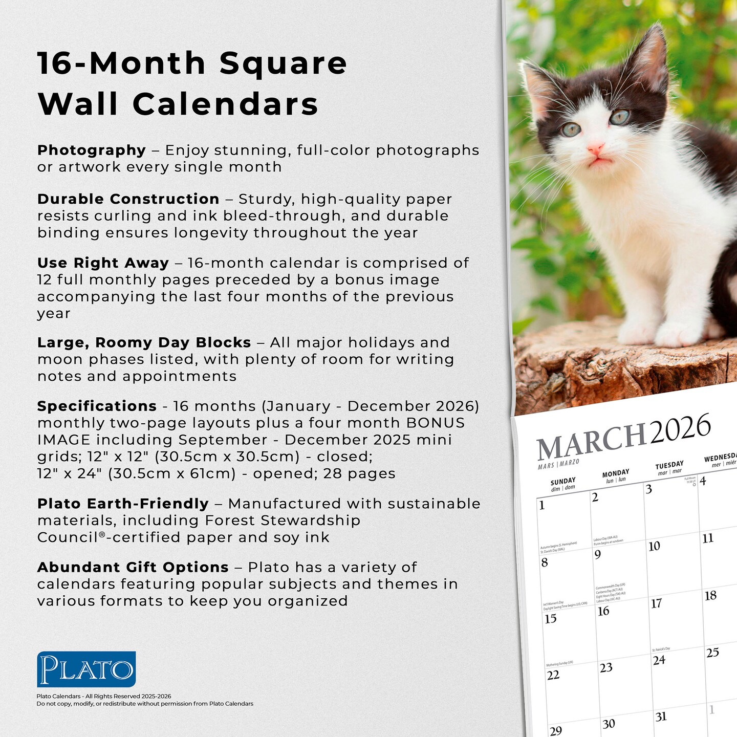 Kitten Cuddles | 2026 12 x 24 Inch (Hanging) Monthly Square Wall Calendar | Foil Stamped Cover