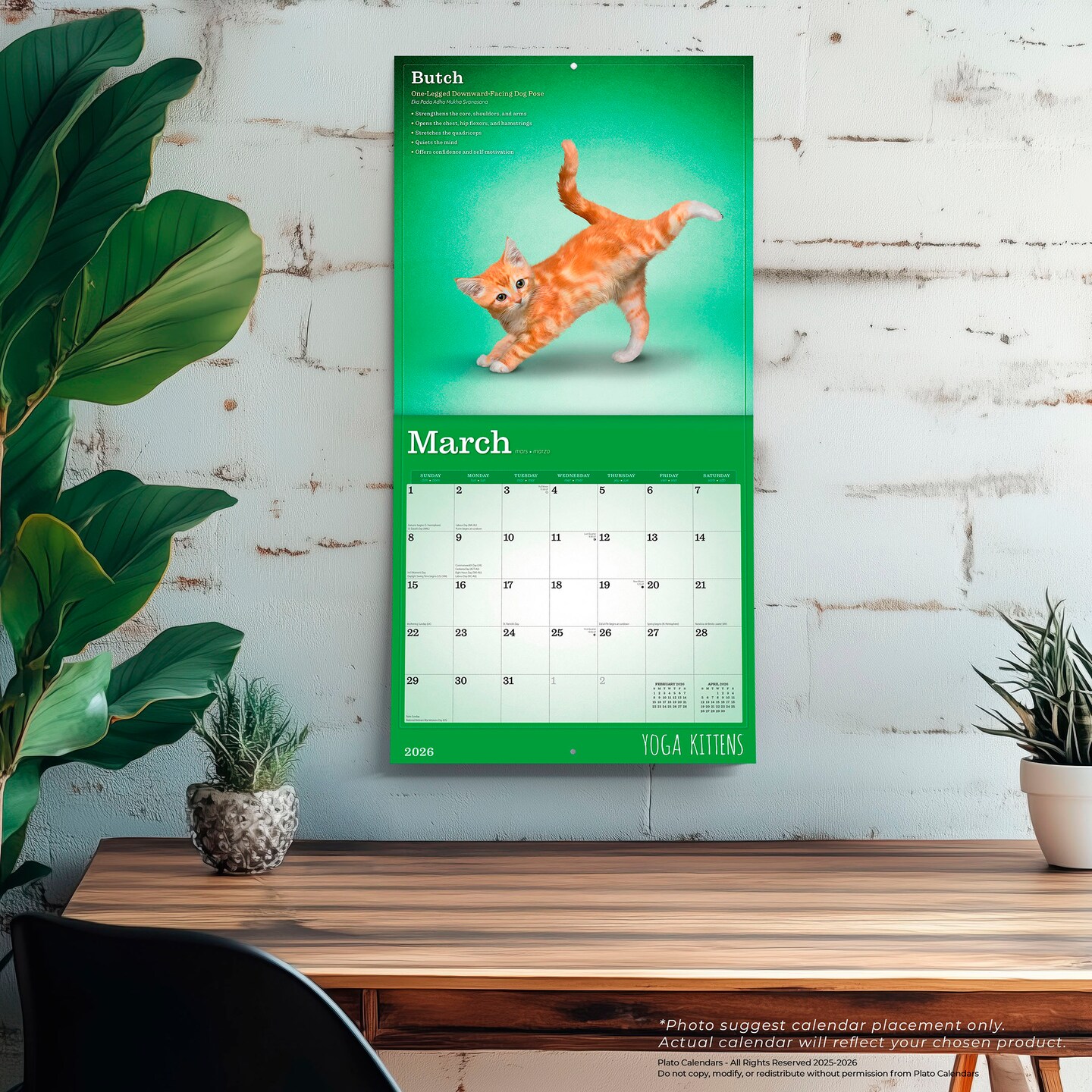 Yoga Kittens OFFICIAL | 2026 12 x 24 Inch (Hanging) Monthly Square Wall Calendar
