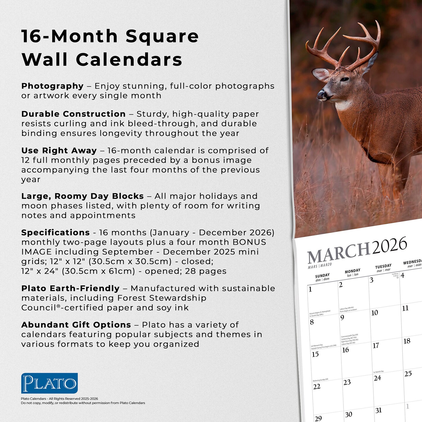 Monster Bucks | 2026 12 x 24 Inch (Hanging) Monthly Square Wall Calendar | Foil Stamped Cover