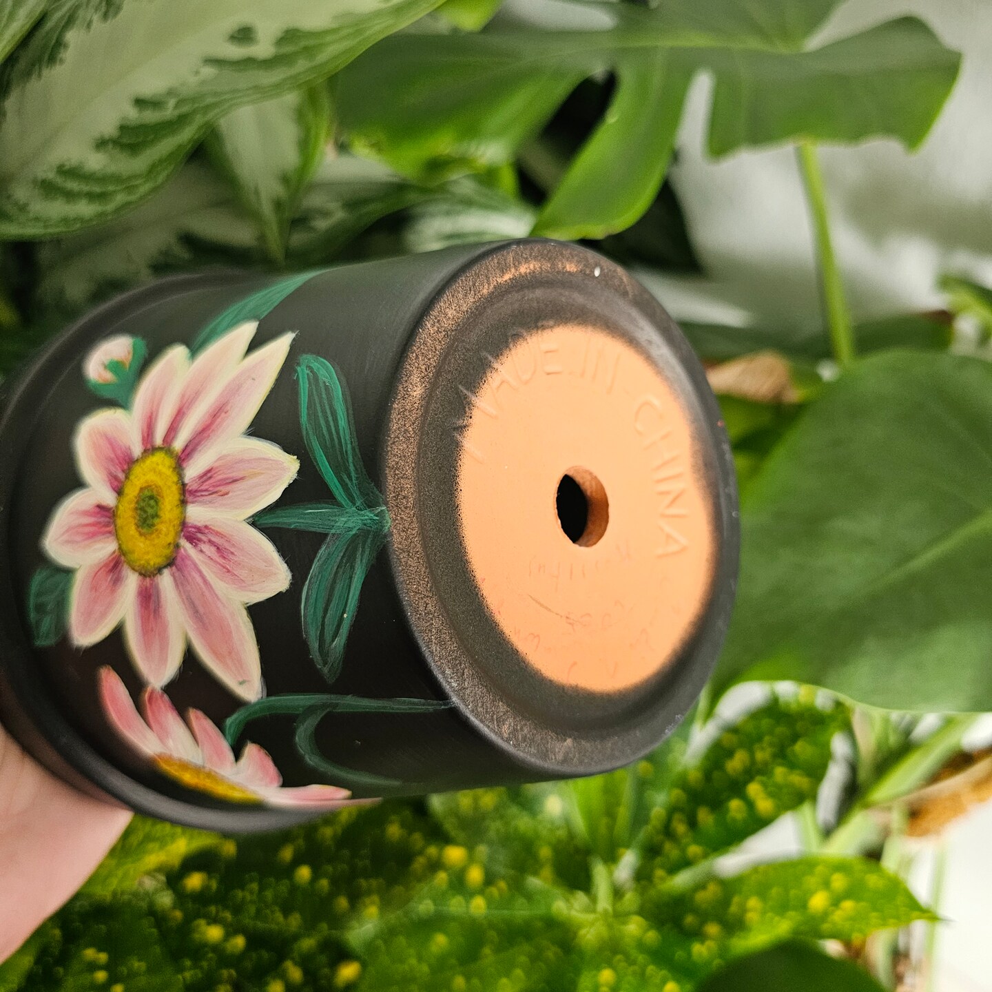 Pink Daisy Flower hand painted on a black terra cotta Pot. 6 inches terra  cotta flower pots for plants | MakerPlace by Michaels