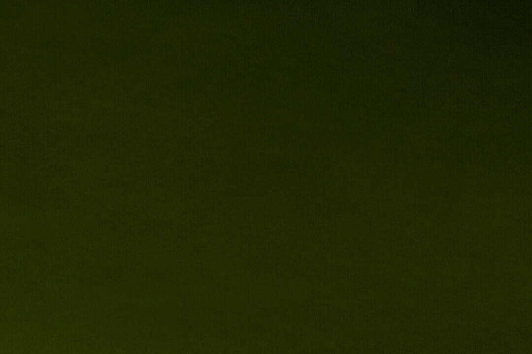 Fabric Shannon Loden 90" Extra Wide Solid Cuddle 3 by the Quarter Yard C390-LODEN