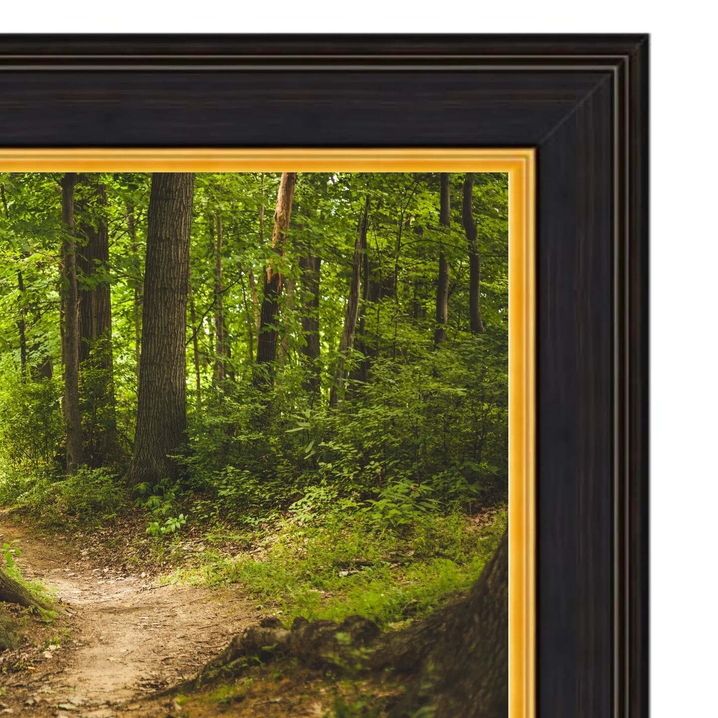 65 Inch TV Picture Frame - Decorative Custom frame for 65 inch TV Samsung