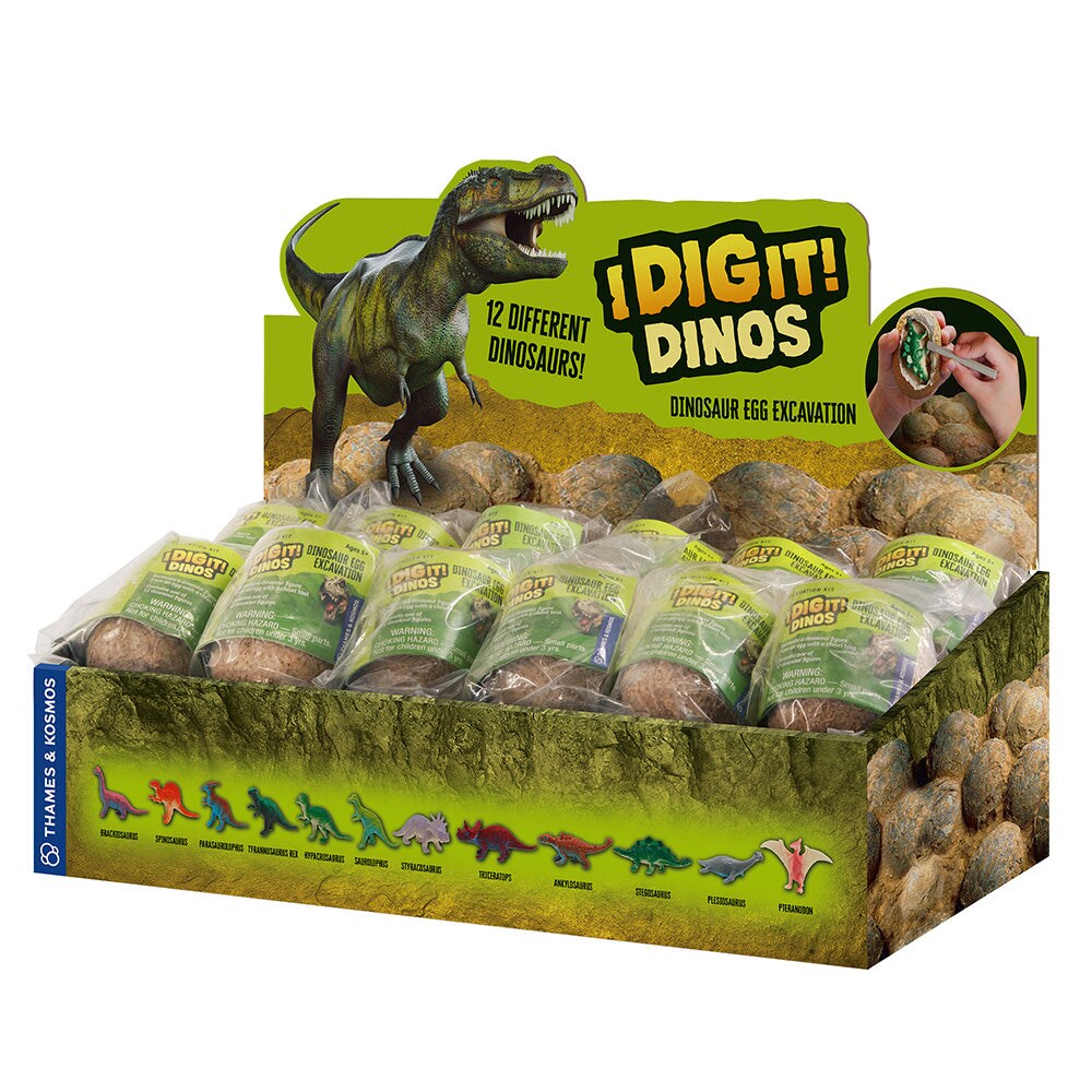 I Dig it Dinos! - Dino Egg (packed in 24 unit Display) | Michaels