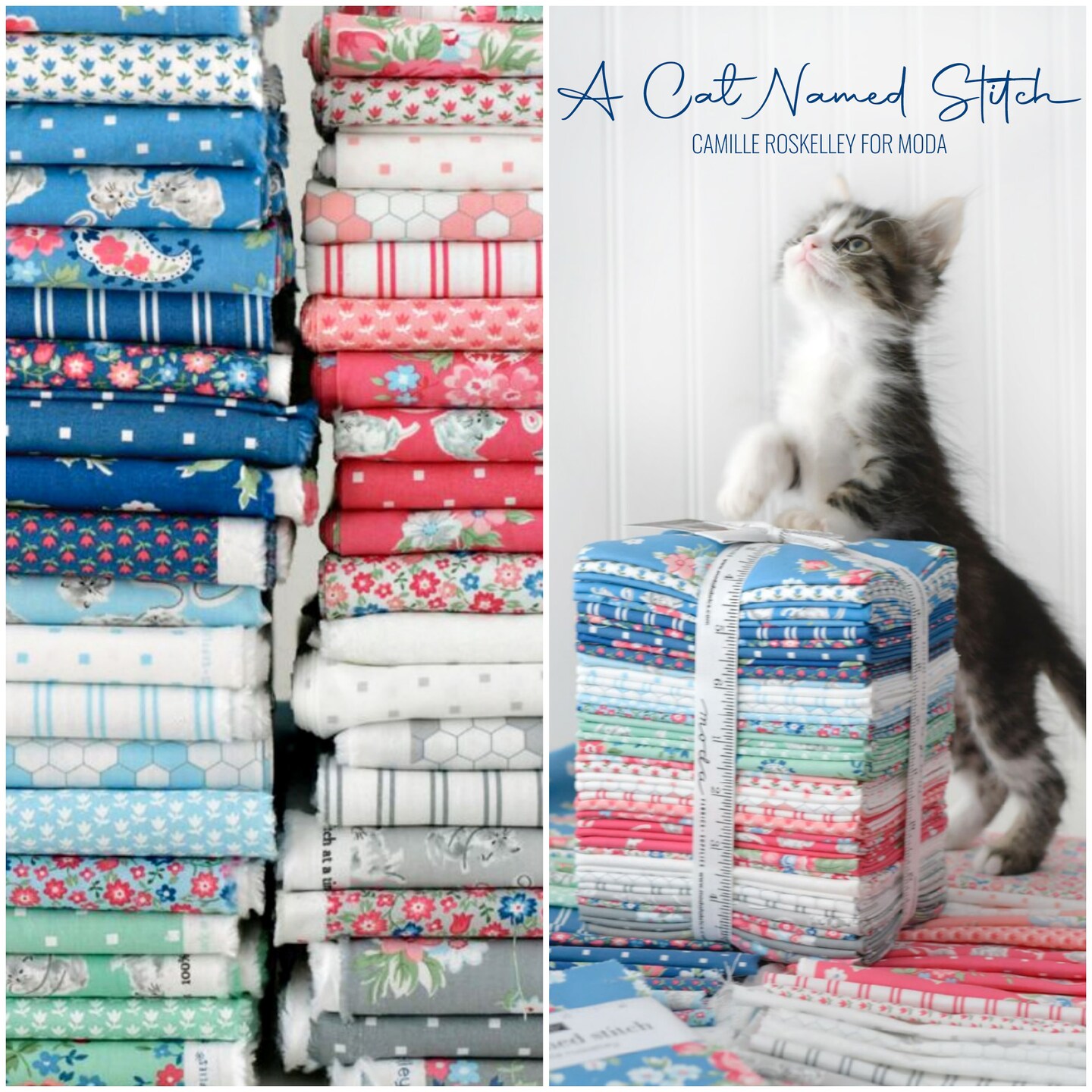 Cosmo Dot in Cream Blush (55345 11) | A Cat Named Stitch | Camille Roskelley | Moda