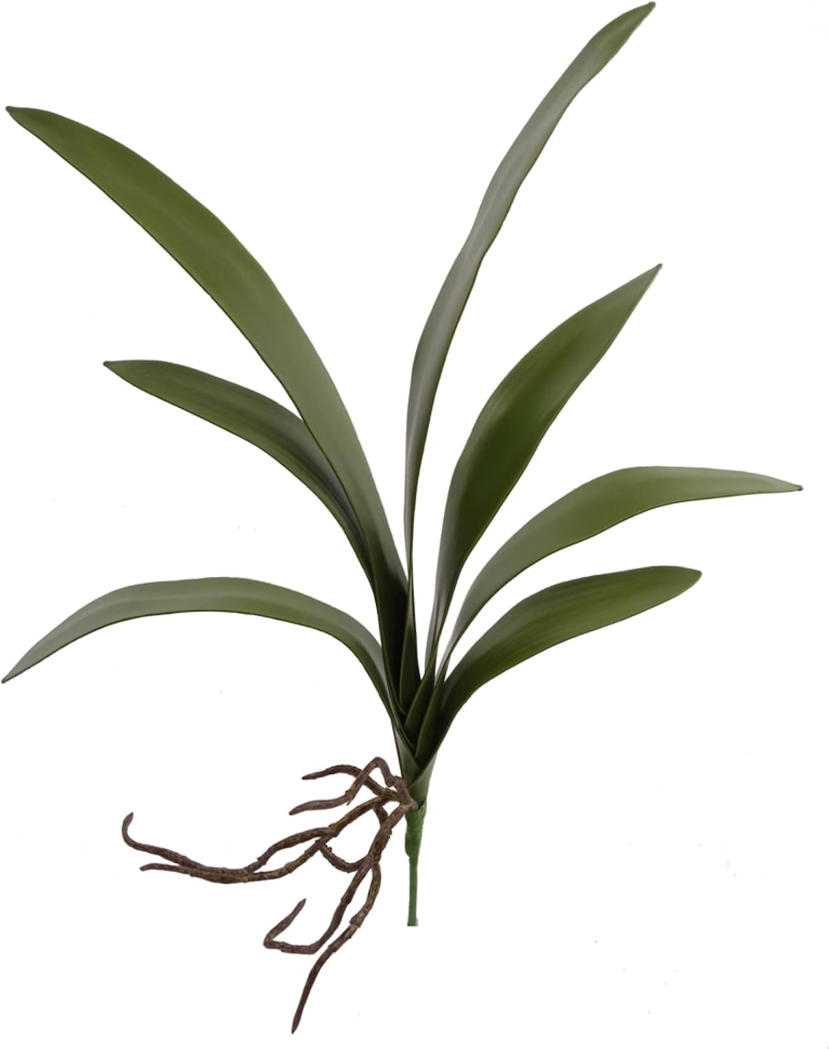 20" Cymbidium Orchid Leaf Cluster Pick - 48-Pack, Lifelike Greenery, Perfect for Floral Arrangements, Home & Event Décor - Ideal for All Seasons, Floral Home by Artificial Flowers