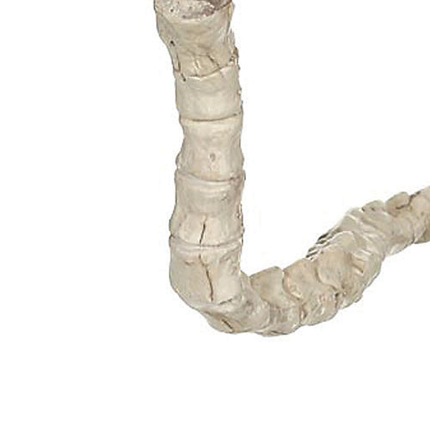 Skeleton Cobra Spooky Serpent